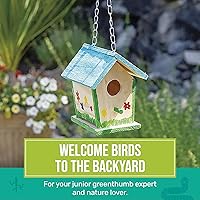 Vista 2 de Toysmith - Beetle & Bee - Build A Bird Bungalow - Juego de manualidades de bricolaje para niños, para exteriores, 6 x 4 x 6 pulgadas, herramientas