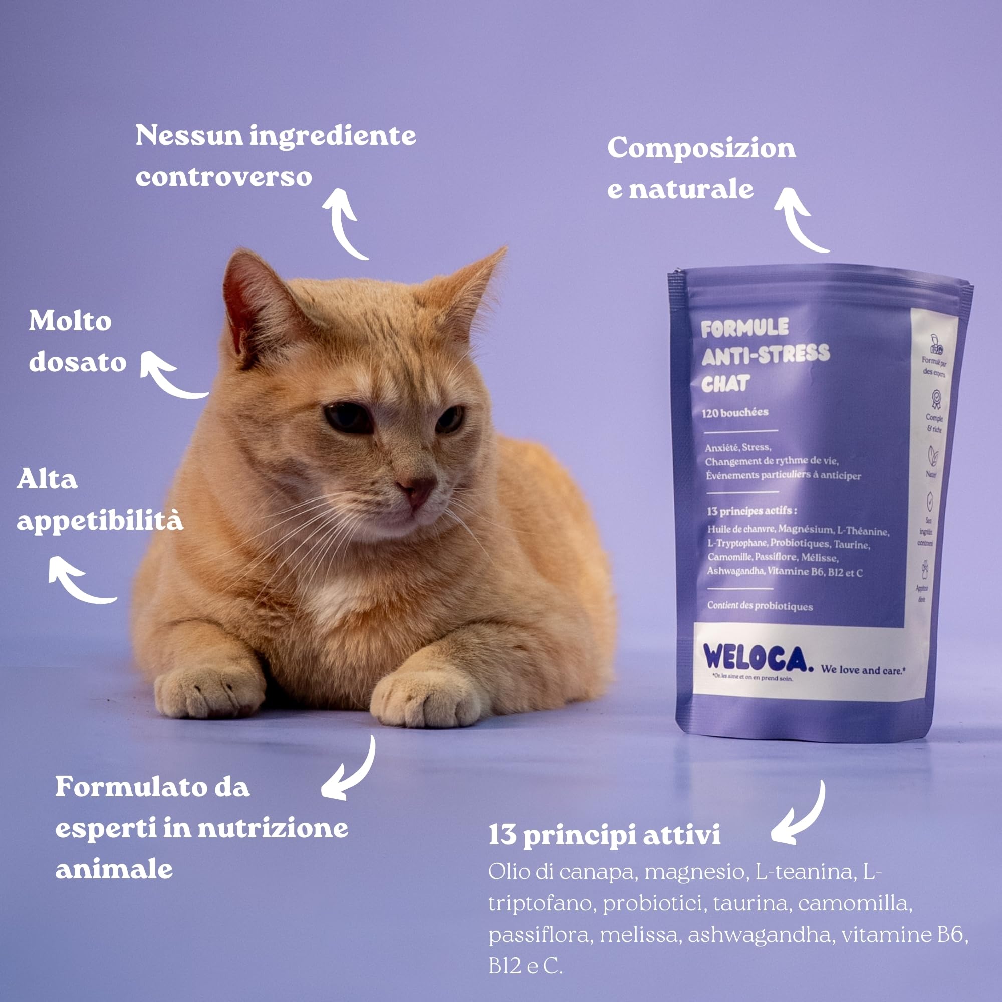 Weloca Anti-Stress Gatto - Anti marcatura urinaria, Anti graffio, lenitivo Contro i Problemi comportamentali del Gatto - 13 principi Attivi Naturali - Calmante Gatto - Imballaggio Francese