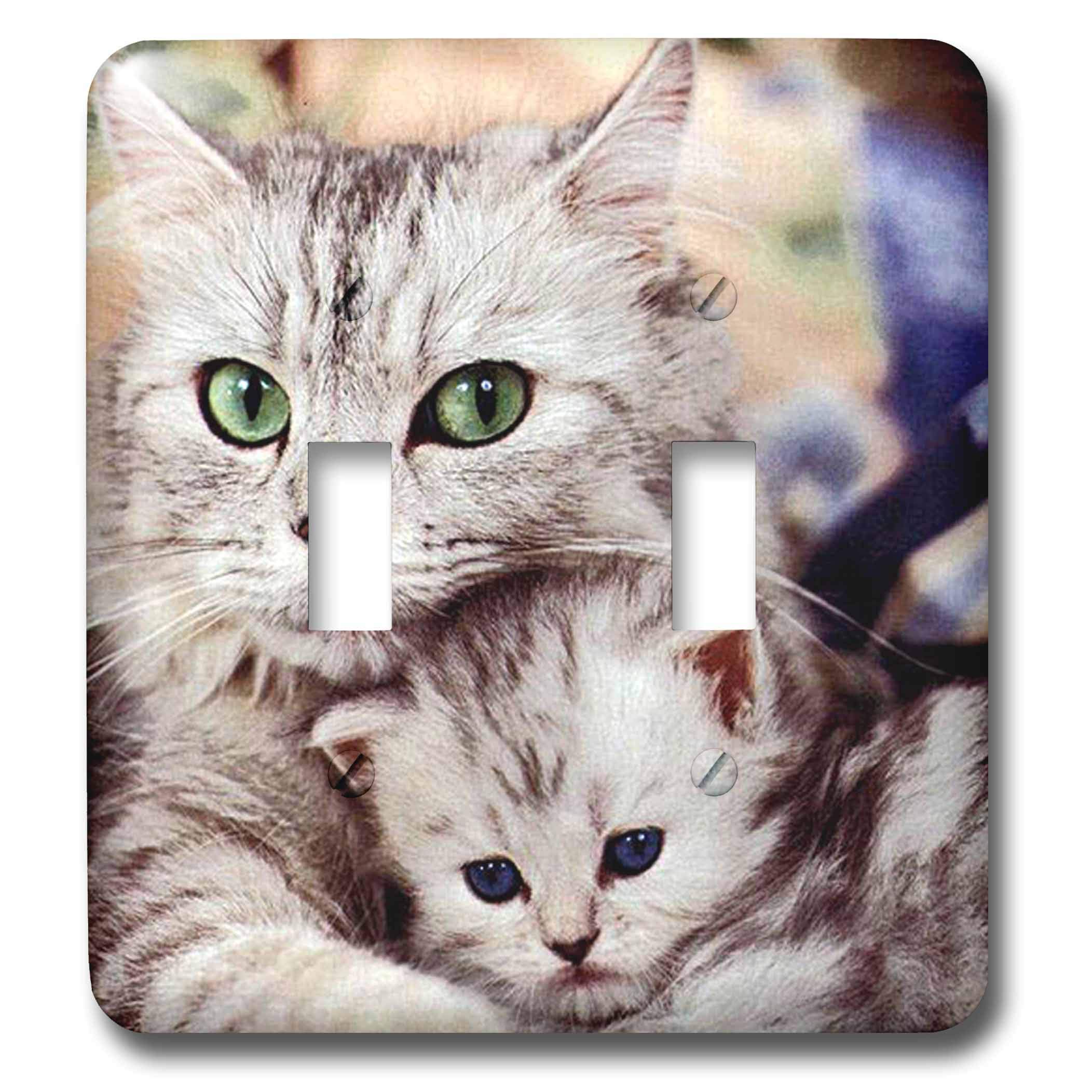 Cats interrupteur double bascule 3dRose Lsp_304_2 aux finitions graphiques d'art