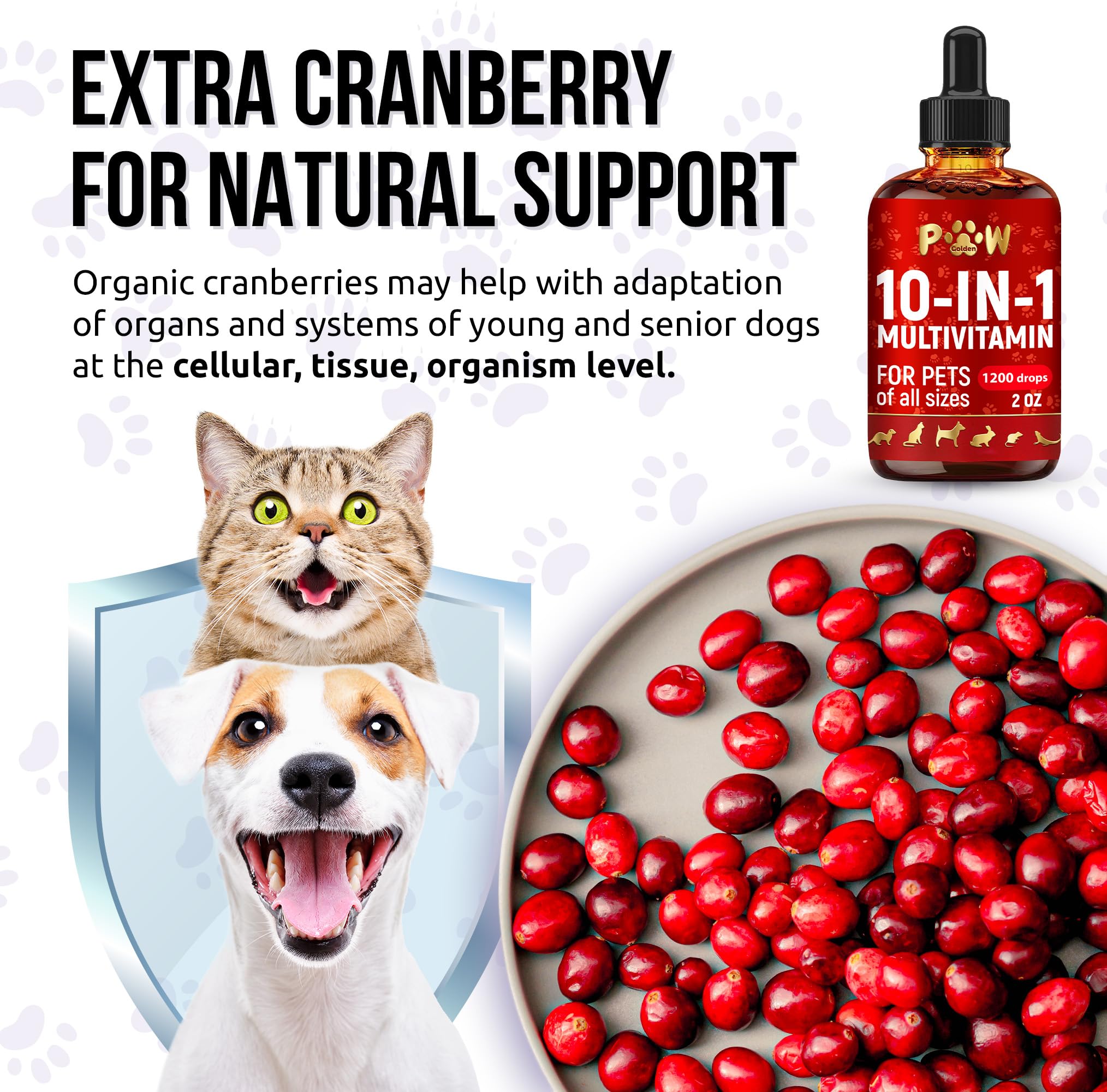 Liquid Multivitamin for Dogs with Glucosamine – Help with Allergies & UTIs – Dog Vitamins and Supplements – Cat Multivitamin for Hips & Joints – B, C & D3 for Coat Shining & Digestion – 2 oz — Amazon image 7