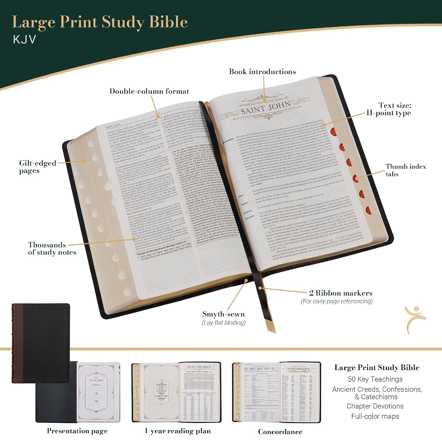KJV Study Bible, Large Print King James Version Holy Bible, Thumb Tabs, Ribbons, Premium Full Grain Leather Black/Burgundy Debossed (KJV Study Editions LP)