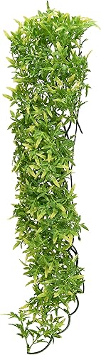 Zoo Med Planta Naturalista Bush Croton Boliviano, Grande