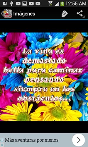 Flores para todos