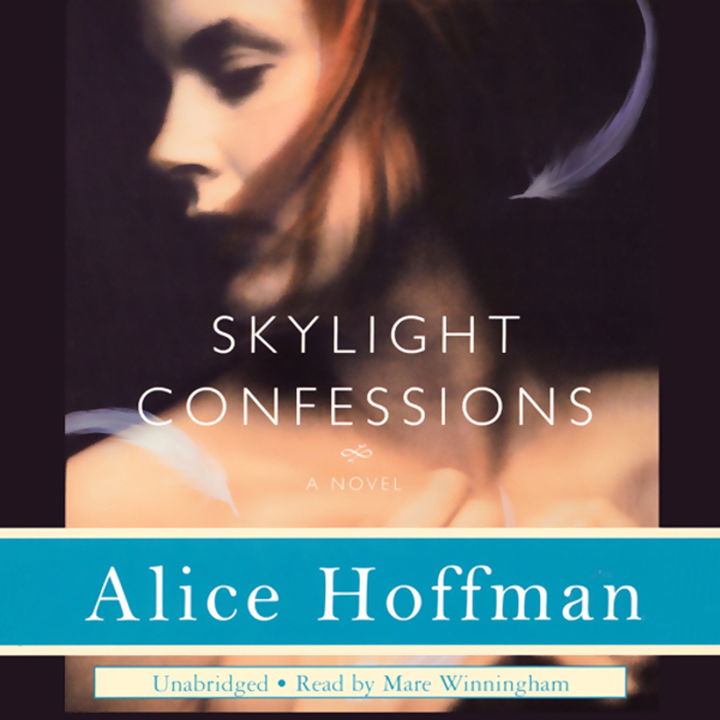 Cover art for Skylight Confessions
