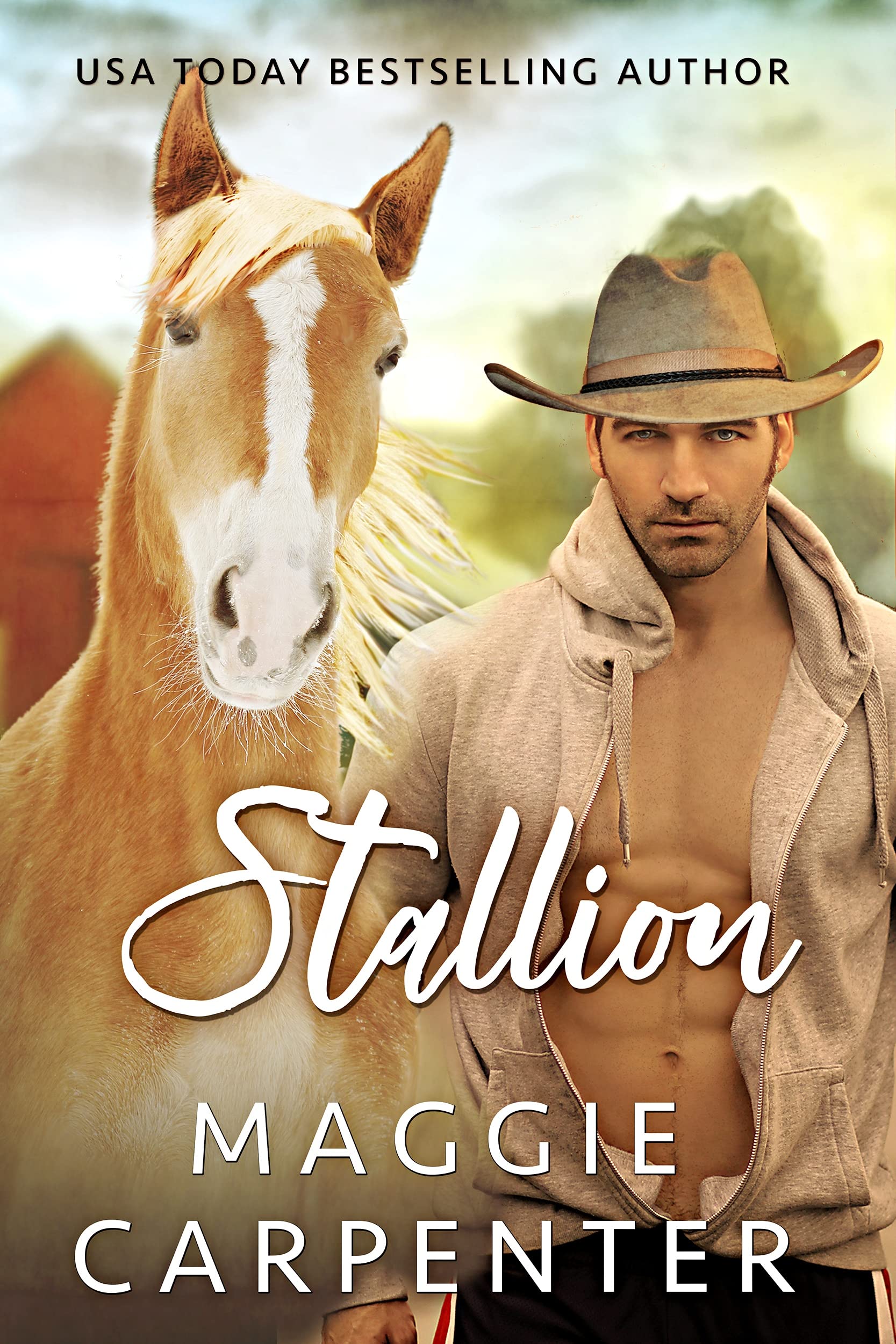 STALLION: Lone Pine Cowboys Book Five. Contemporary Western Romance