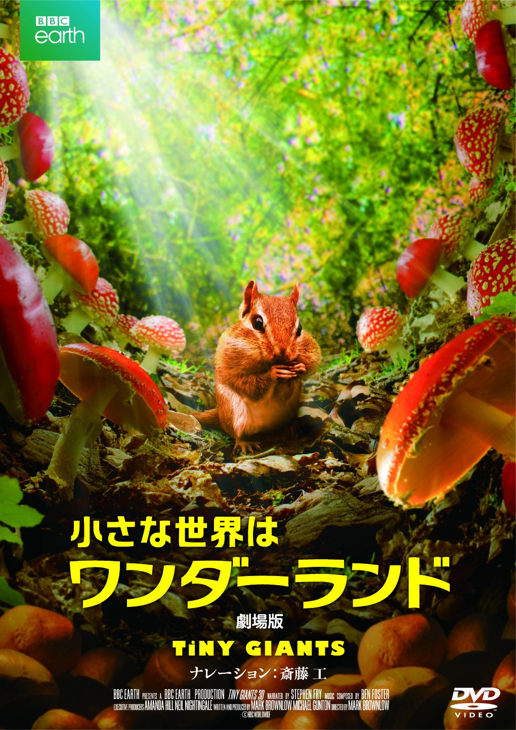 小さな世界はワンダーランド('14英) 小さな世界はワンダーランド/劇場版 : ドキュメンタリー映画, マーク