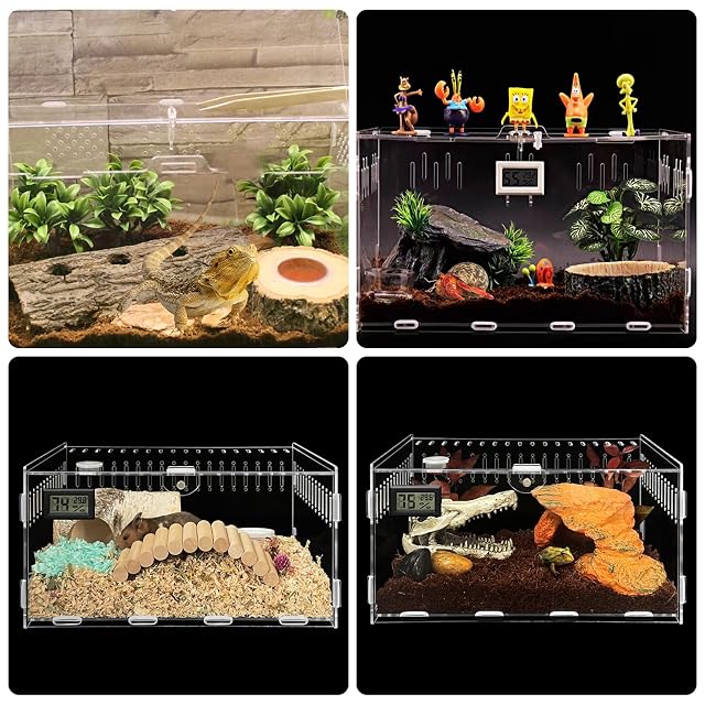 Foto 6 de 7 de Terrario para reptiles, caja de alimentación y transporte, caja de acrílico y cultivo de reptil
