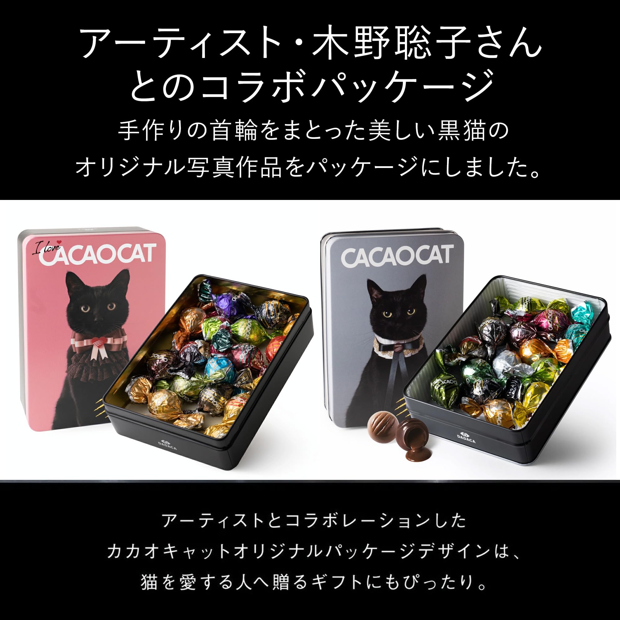 Amazon.co.jp: CACAOCAT カカオキャット ミックス 14個入り ギフト