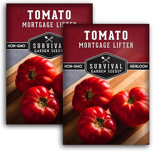 Survival Garden Seeds - Semilla de tomate levantador de hipotecas para plantar - 2 paquetes con instrucciones para plantar y cultivar enormes