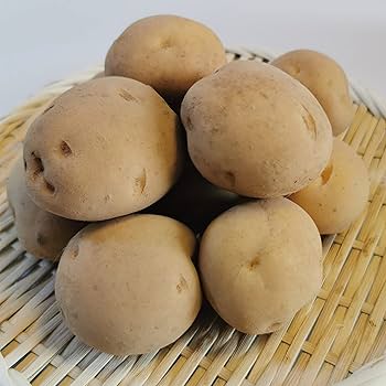 Amazon.co.jp: 白土馬鈴薯 じゃがいも 男爵 無農薬 Mサイズ 10kg