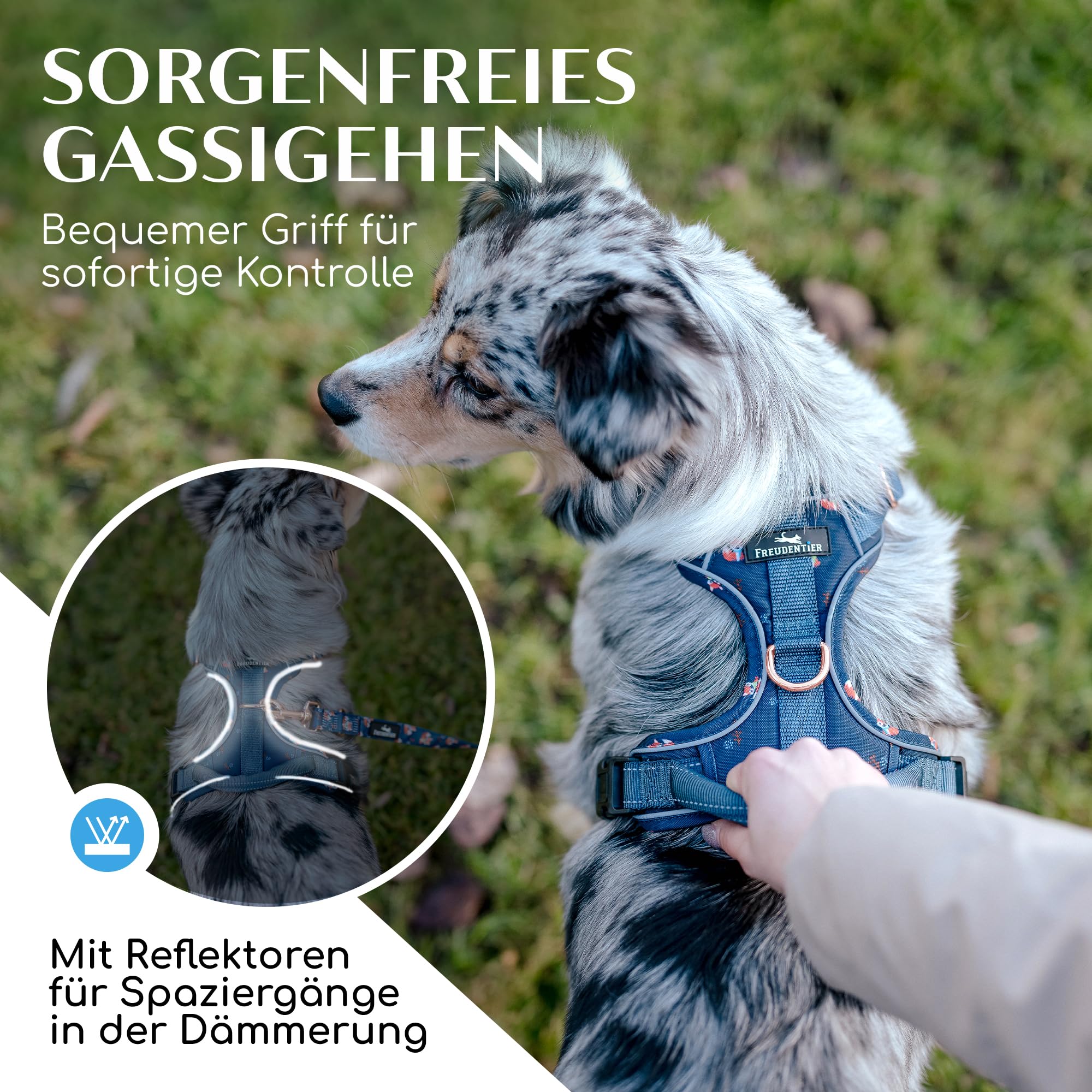 FREUDENTIER Hundegeschirr mit Griff & atmungsaktiver Polsterung - Höchster Komfort, fester Sitz & maximale Sicherheit - Anti Zug - Lets get Foxy Kollektion - Für kleine, mittelgroße & grosse Hunde (M)