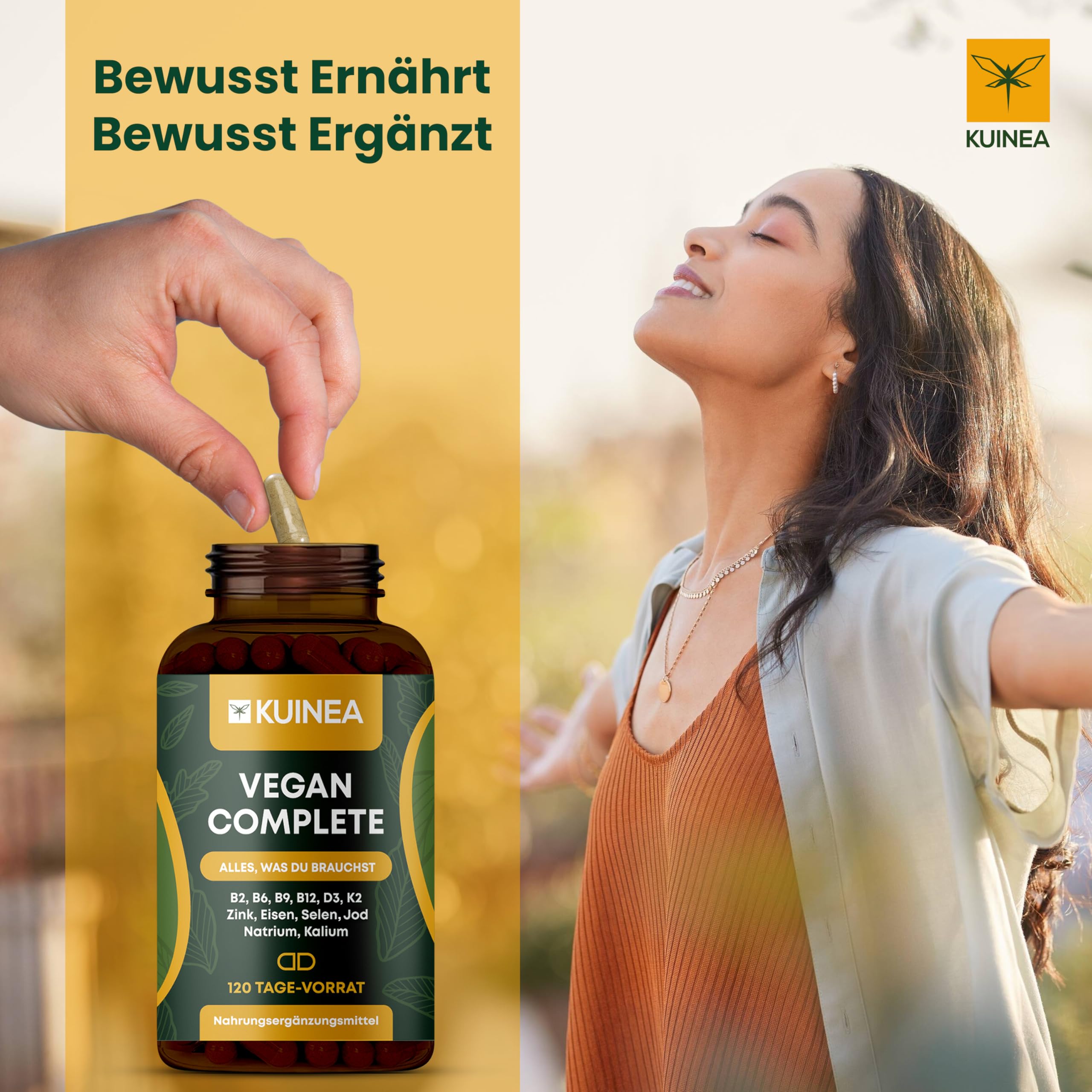 2x 120 Kapseln Vegan Complex - All in one Vitamine I 8-MONATS-VORRAT I Vitamin B12 Vegan+D3+K2+B2+B9+B6 + Zink + Eisen + Selen + Jod + Natrium + Kalium - Supplements