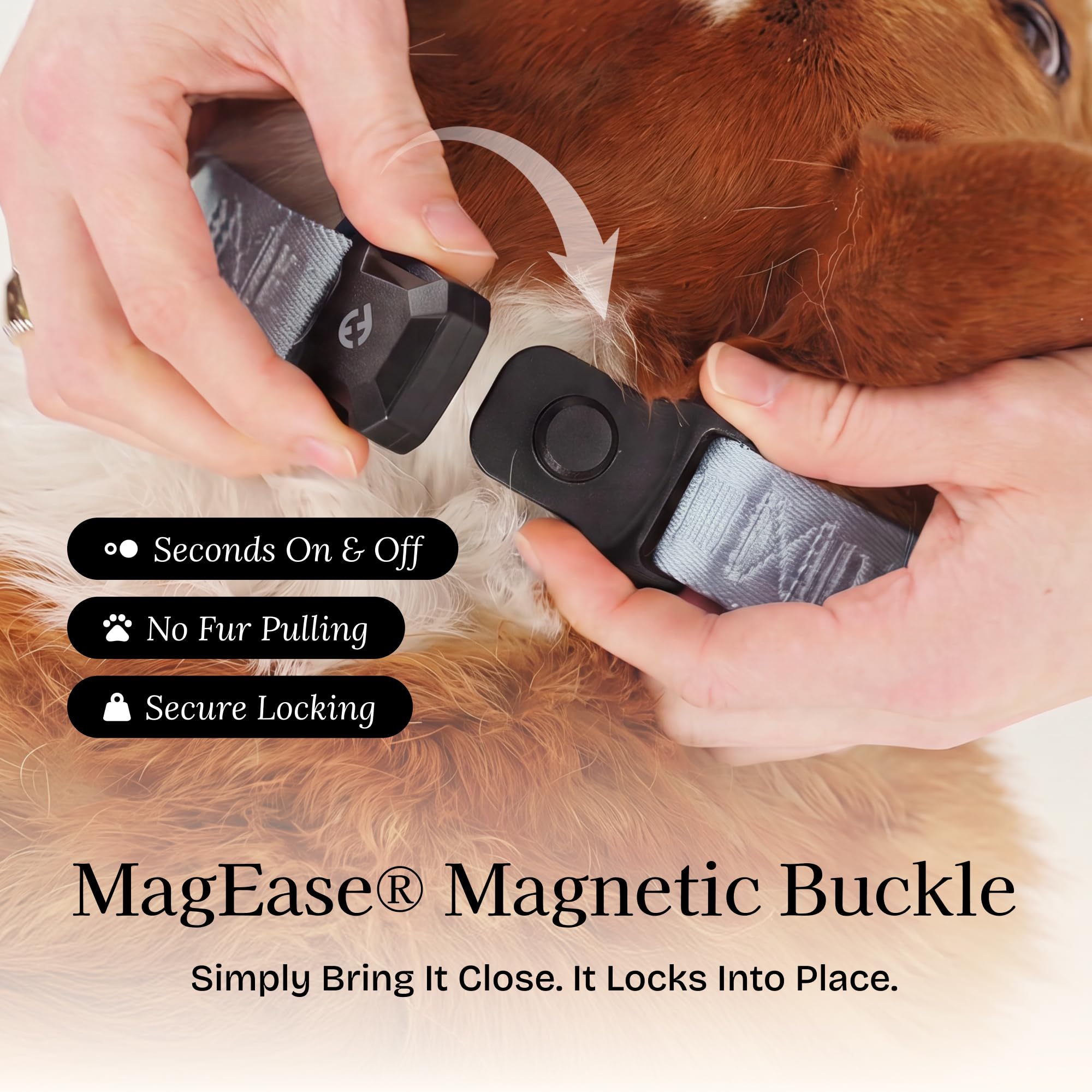 Fei & Eve MagEase - Collare per cani 2026, con fibbie magnetiche brevettate, sicuro per la pelliccia, nylon 210D di alta qualità, a prova di fuga, 204 kg, vestibilità regolabile, taglia L, blu scuro