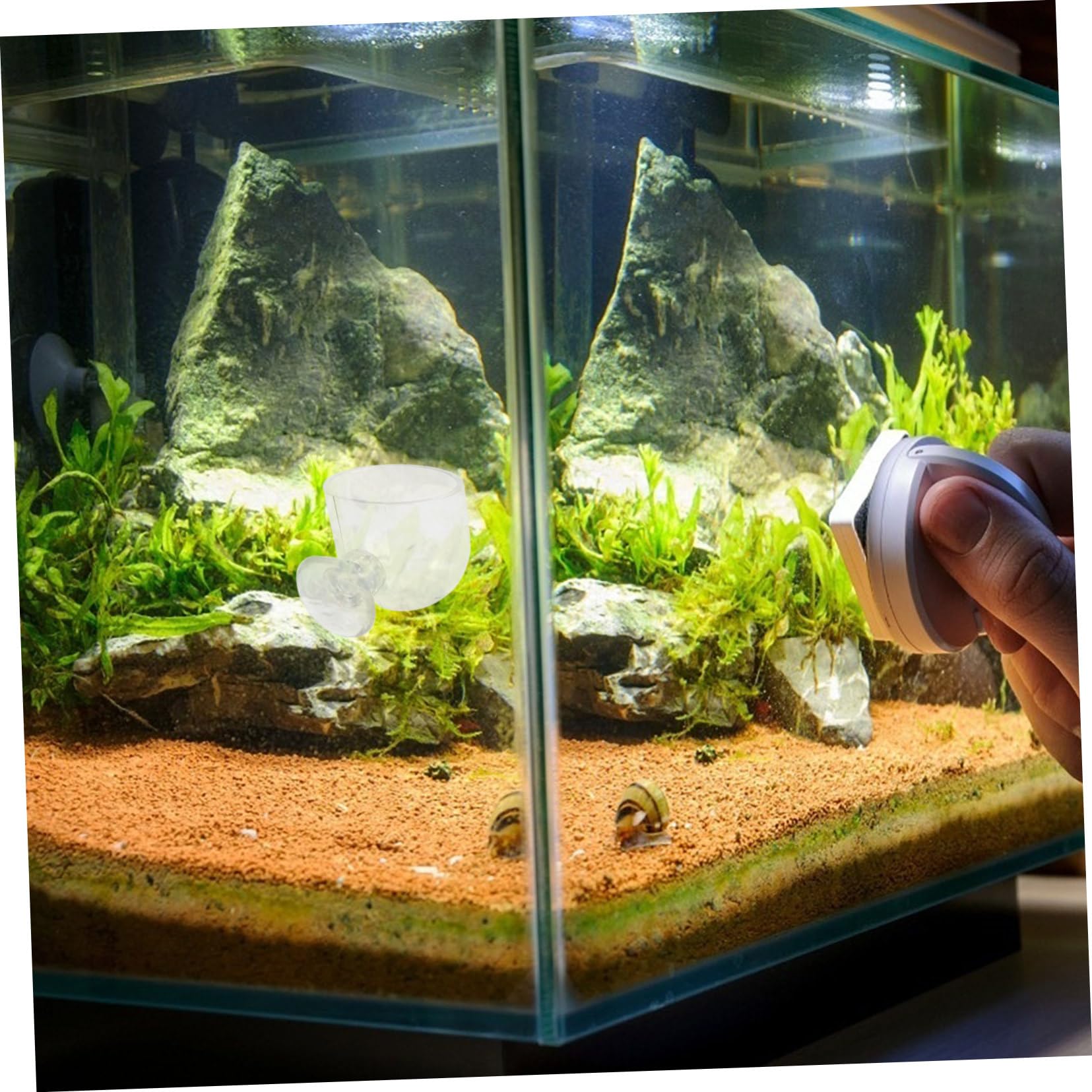 GRIRIW 2pcs Aquarium Fish Feeder Ring Suction Cup Design Easy Install Acrylic Material