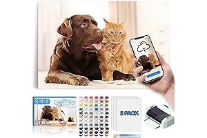 Personalized Art | Custom Paint by Number | Canvas Painting DIY