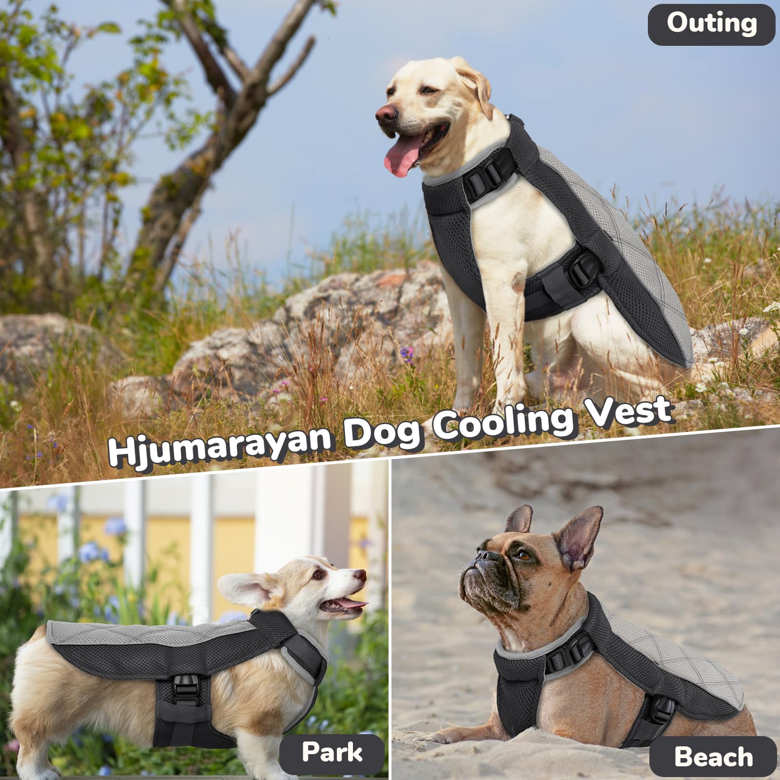 Giubbotto Refrigerante Cane, Confortevole Cappottino Refrigerante per Cani Gilet Rinfrescante Cane Traspirante Giubbotto Cani con Pettorina per Calde Giornate Estive, Grigio Antracite M