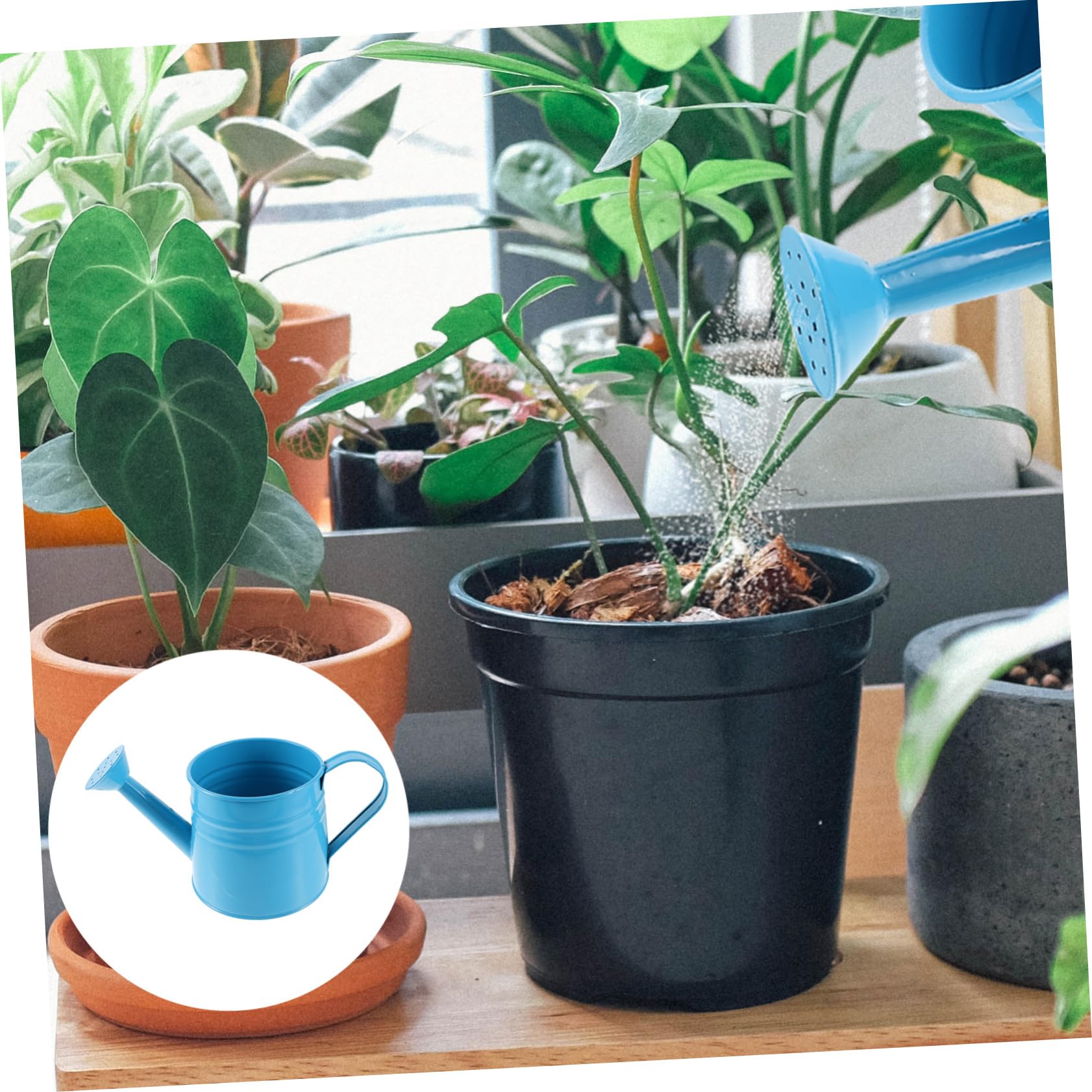 POPETPOP 3pezzi Annaffiatoio Beccuccio Spray Per Giardinaggio Indoor e Outdoor Capacità Design e Multifunzionale Per e
