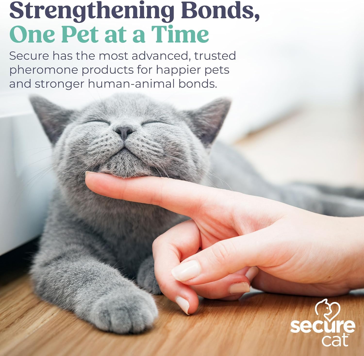 SIGNS SecureCat Calming Diffuser for Supporting Calm and Well-Being to Help Relieve Any Feeling of Anxiety or Stress, Cat Pheromone Passive Stick Diffuser Home Starter Kit