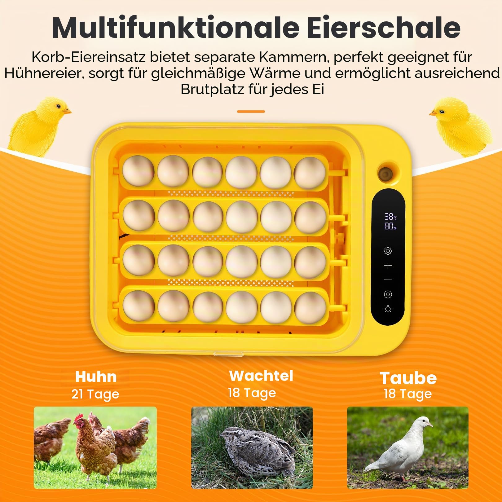 Sailnovo-24 Brutautomat für Hühner, Andere Vögel + 20 Eier + Brutautomat vollautomatisch + Temperaturkontrolle + Feuchtigkeitsanzeige + Externer Wasserzugabe- Gelb