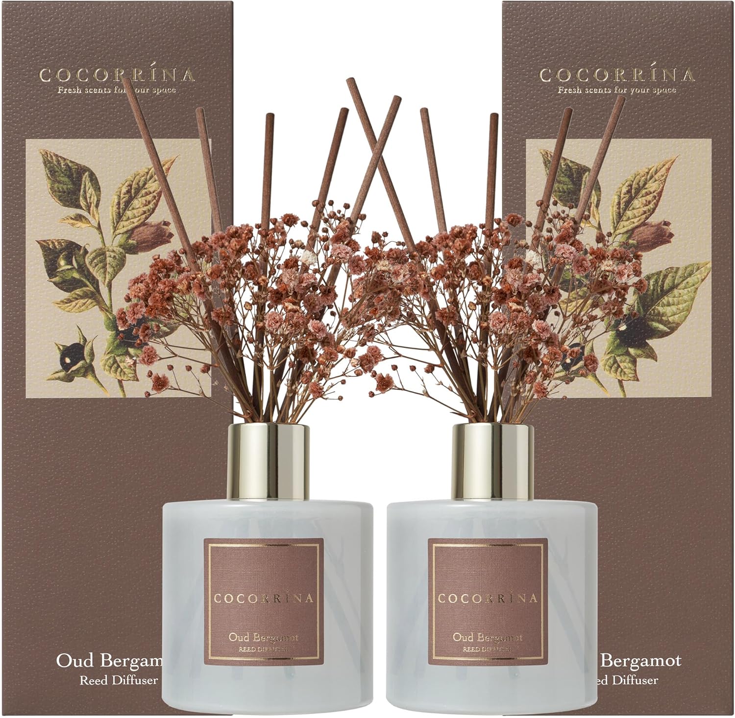 Cocorrína Reed Diffuser Set Oud Bergamot Reed Diffuser 2