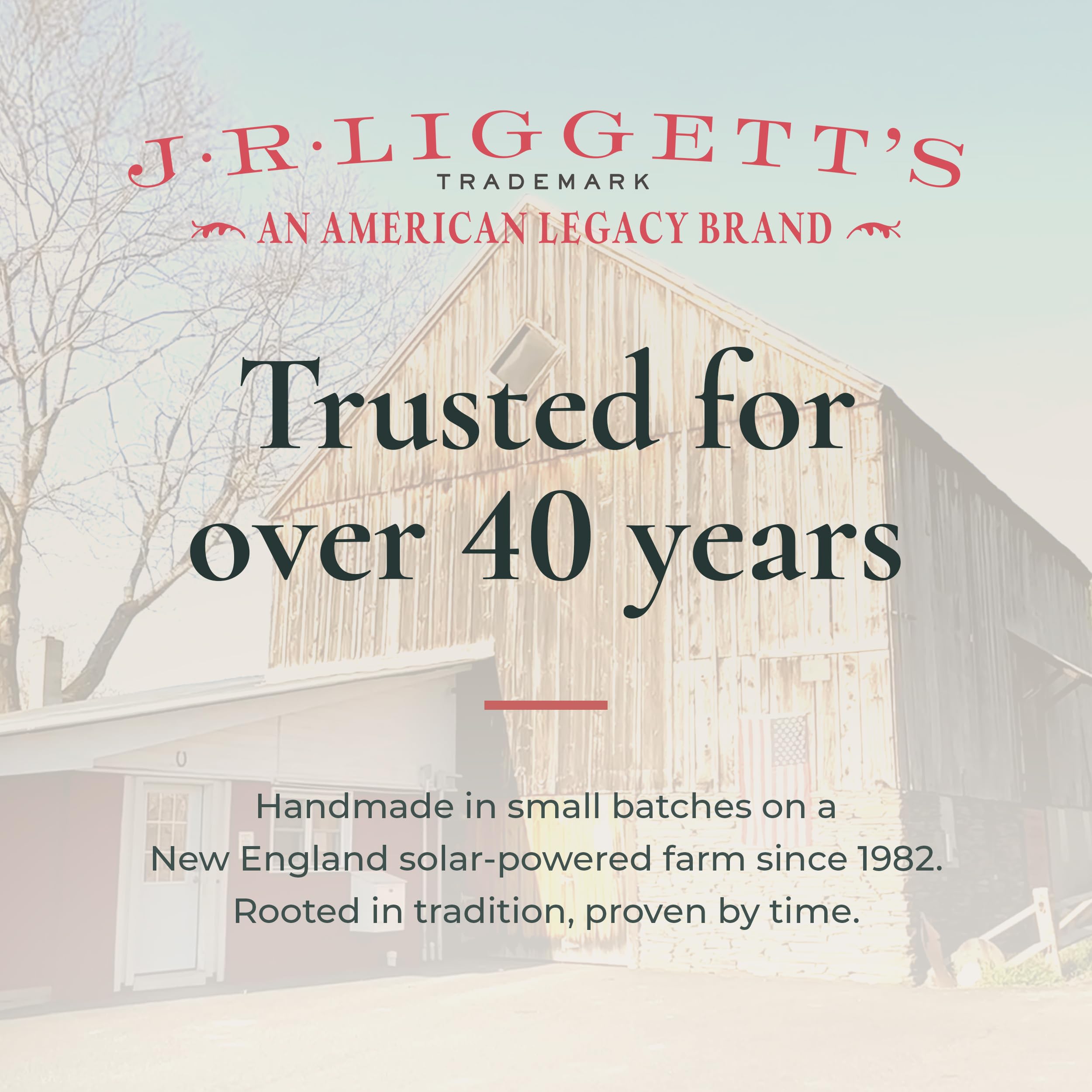 J·R·LIGGETT'S Solides Shampoo, feuchtigkeitsspendende Formel, komplett natürliches festes Shampoo mit Kokosöl und Aloe Vera, ohne Sulfate, ohne Reinigungsmittel, stellt die Weichheit wieder her