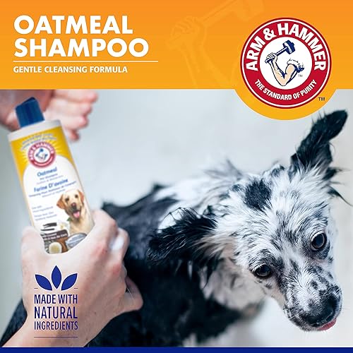 Miniatura 4 de Arm & Hammer Champú de avena para perros para mascotas  El mejor champú para perros para piel seca con picazón  Champú calmante de avena para perros