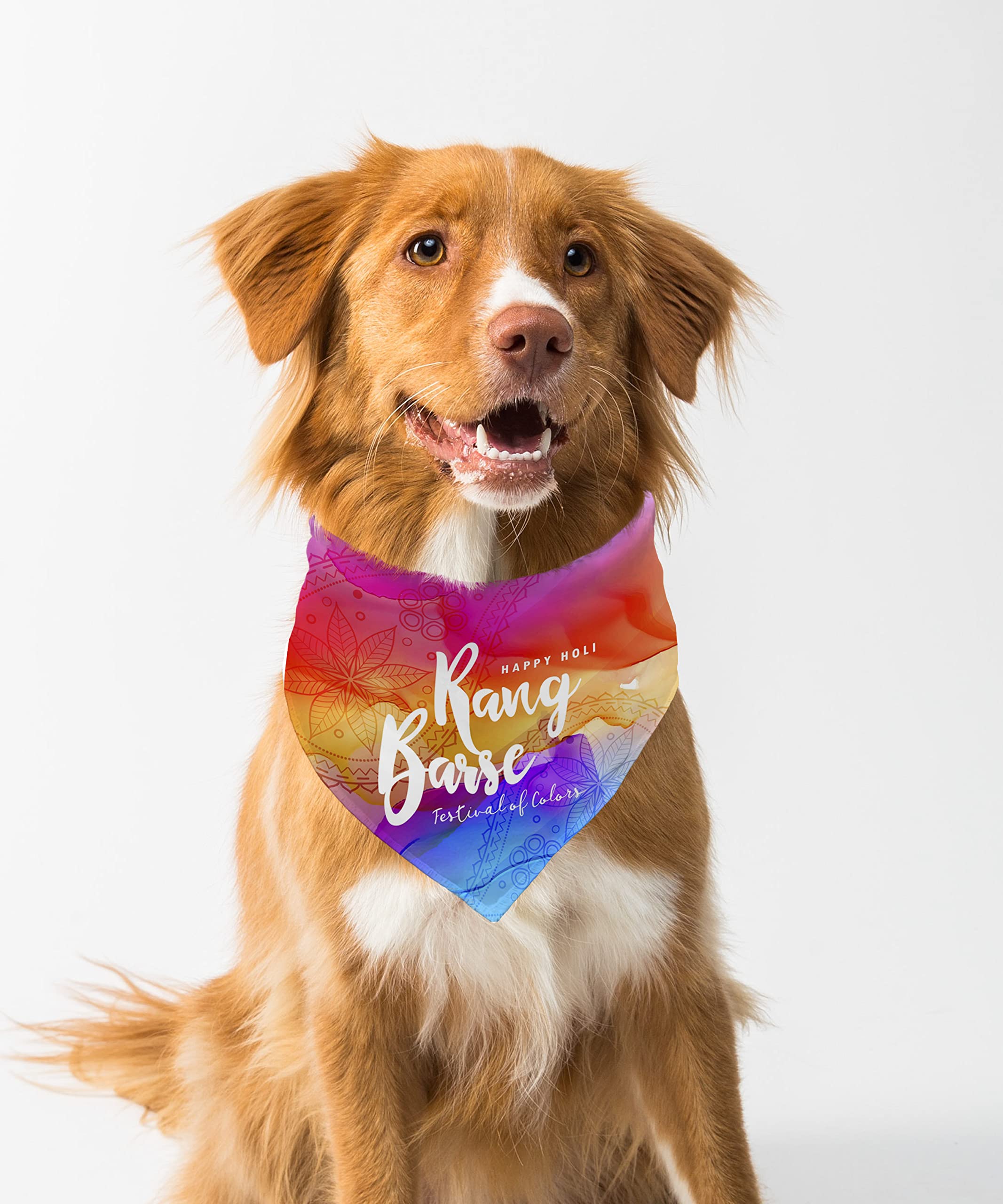 See full amazon price history chart for Farnup Adjustable & Comfortable Dog Bandana, Happy Holi Rang Barse, Graphic Printed Holi Design Bandana for Dogs | Dog Scarf, Accessory-S/M Farnup Adjustable & Comfortable Dog Bandana, Happy Holi Rang Barse, Graphic Printed Holi Design Bandana for Dogs | Dog Scarf, Accessory-S/M (B0BWWVVP3S) Amazon Price History, Amazon Price Tracker