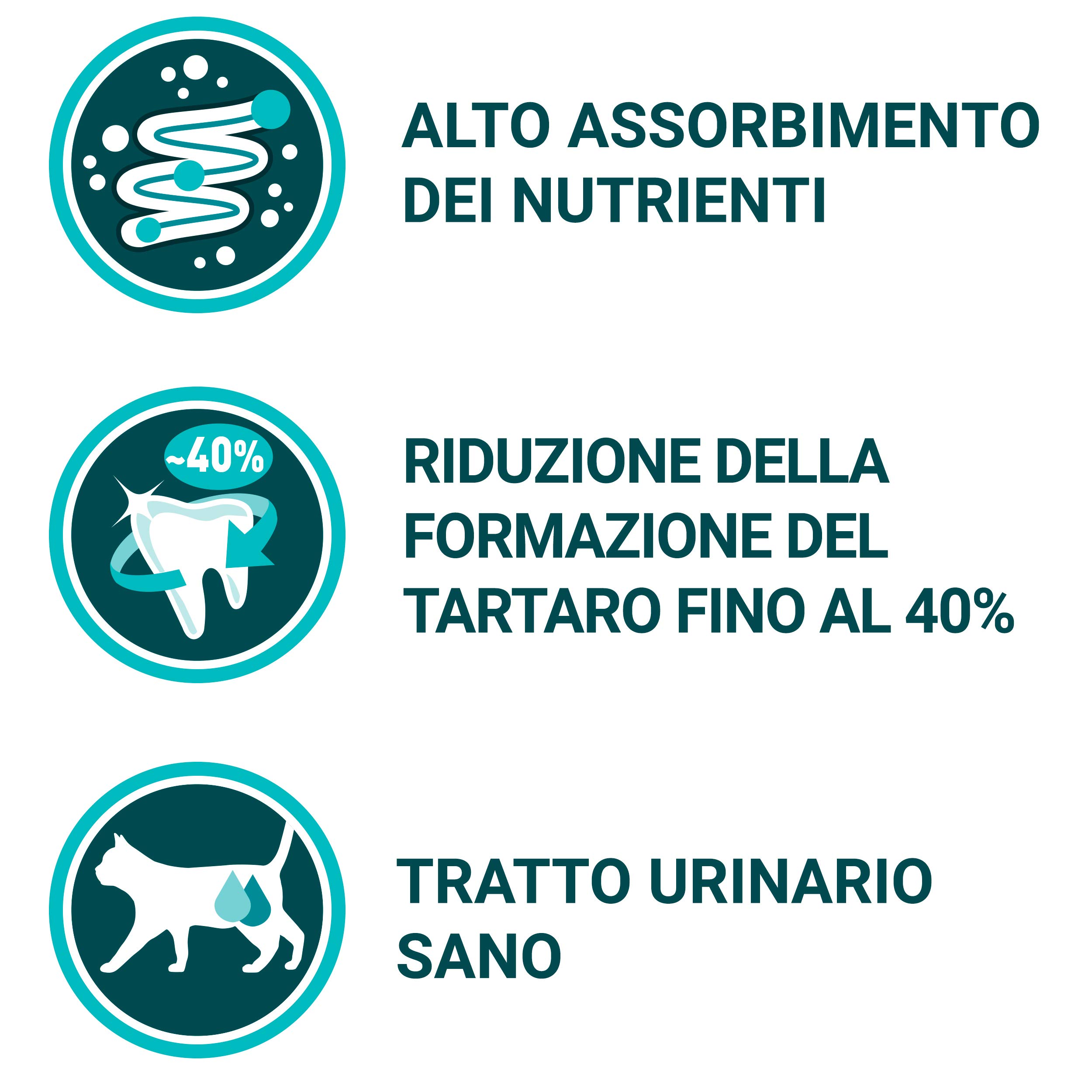 Purina One Bifensis Crocchette Gatto Adult Ricco in Salmone e Cereali integrali - 8 Sacchi da 800 g Ciascuno