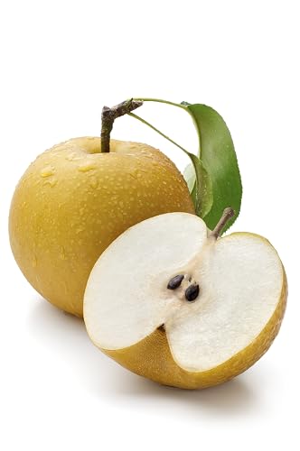 Asian Pears