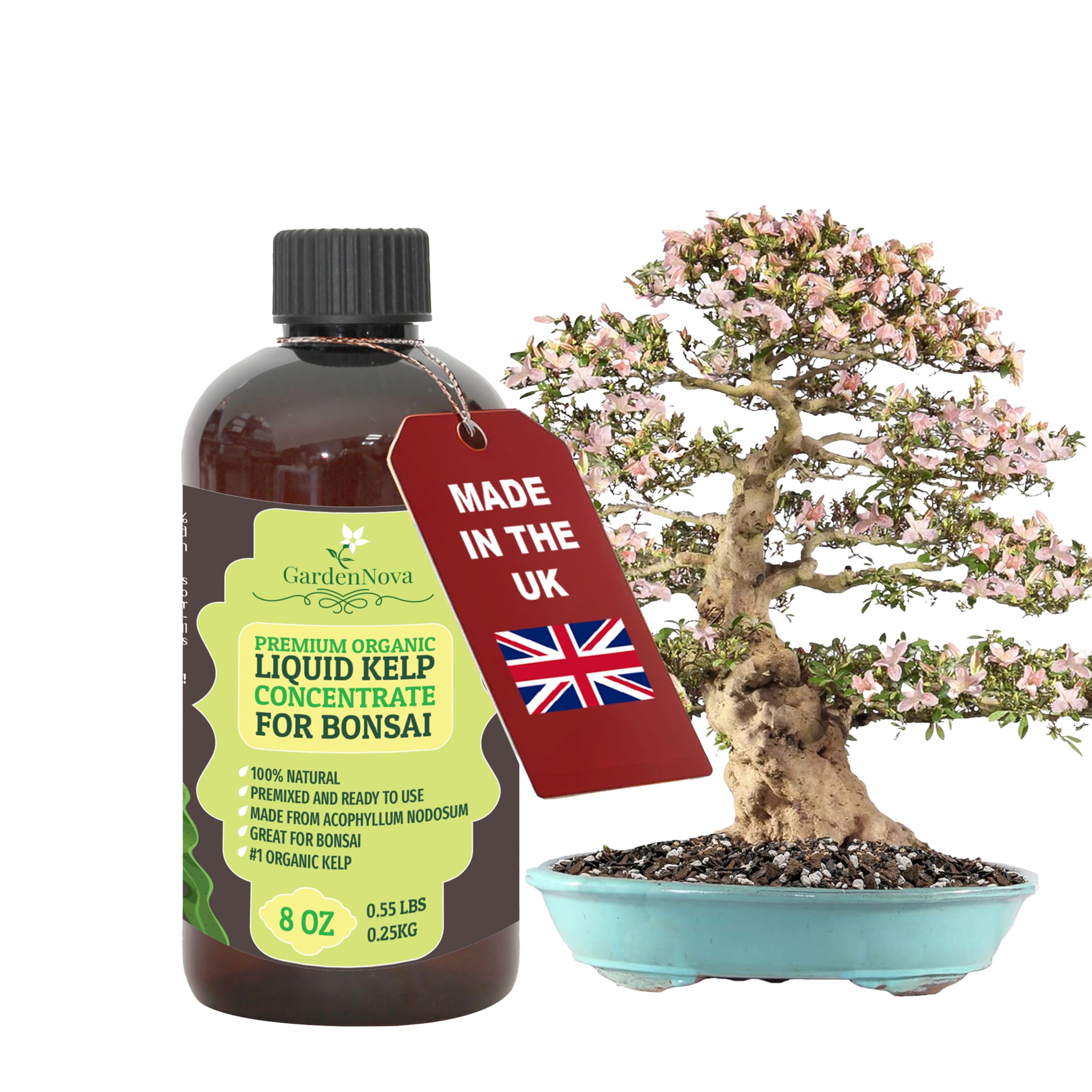 GARDENNOVA Premium Organic Seaweed & Kelp Superfood for Bonsai Trees Plants - 8 oz - Liquid Kelp Fertilizer Concentrate (Makes 25 Litres)