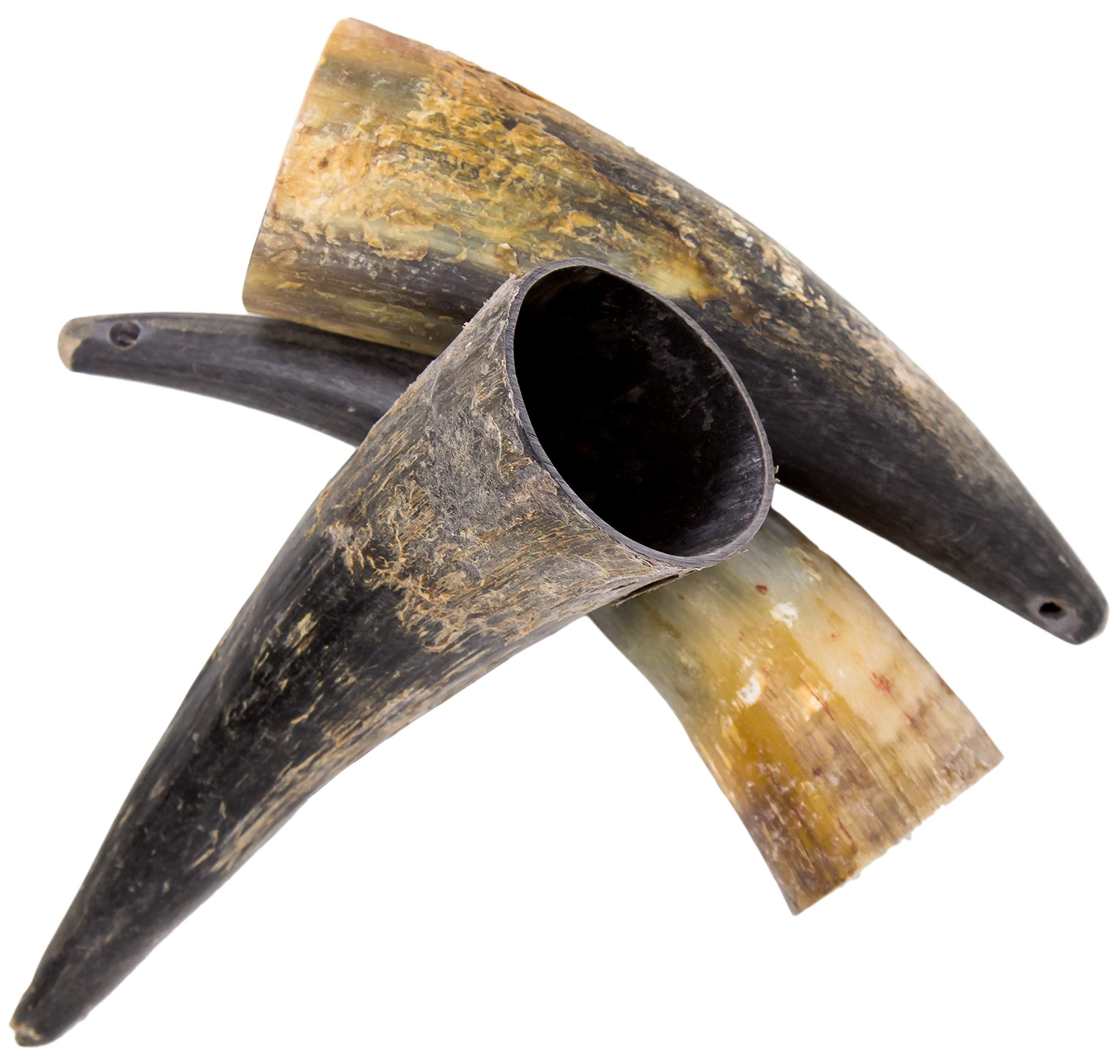 Are Horns Good For Dogs