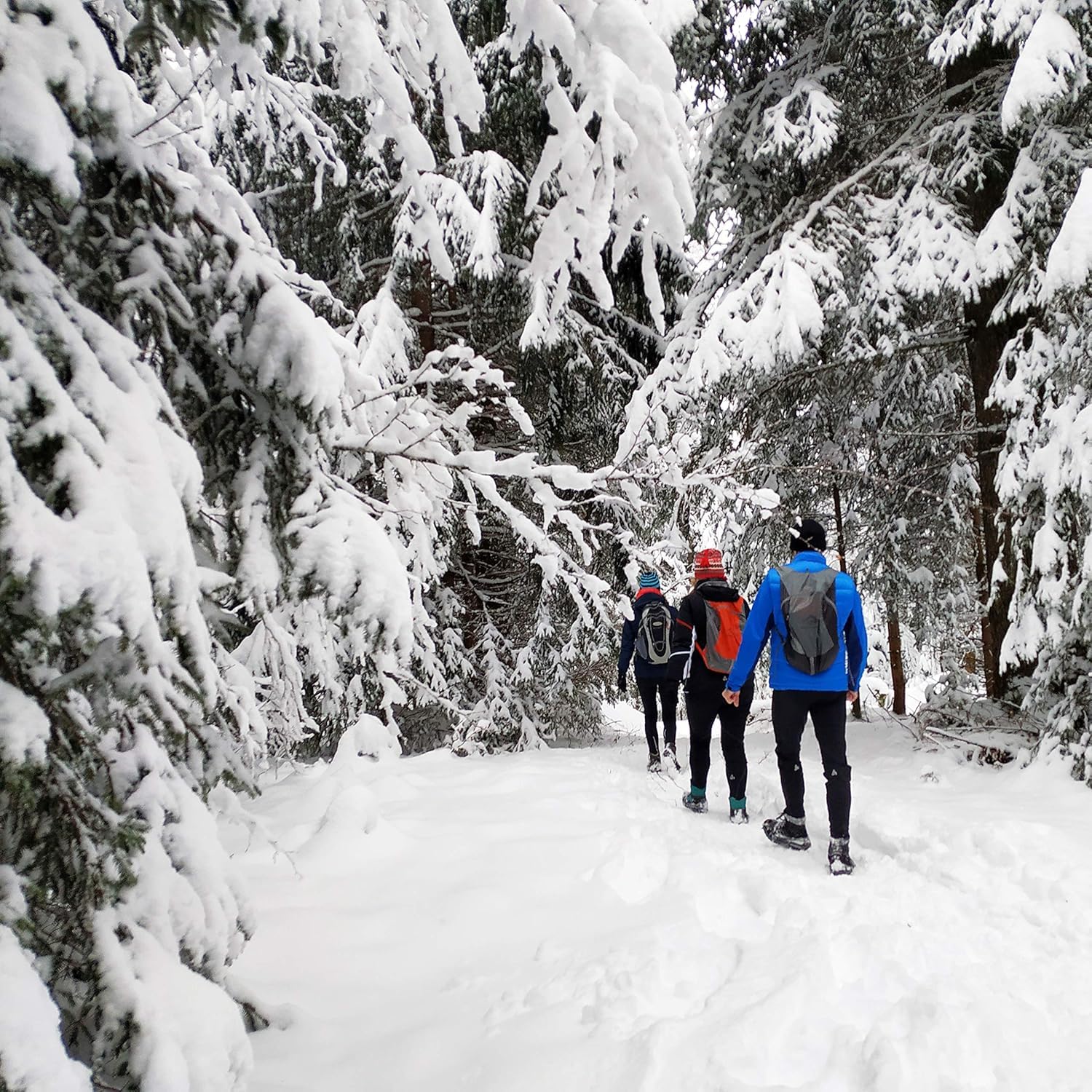 Crampons Neige et Glace pour Chaussures avec Griffes en Acier. Idéal pour Sports de Plein air, randonnées et promenades en Hiver