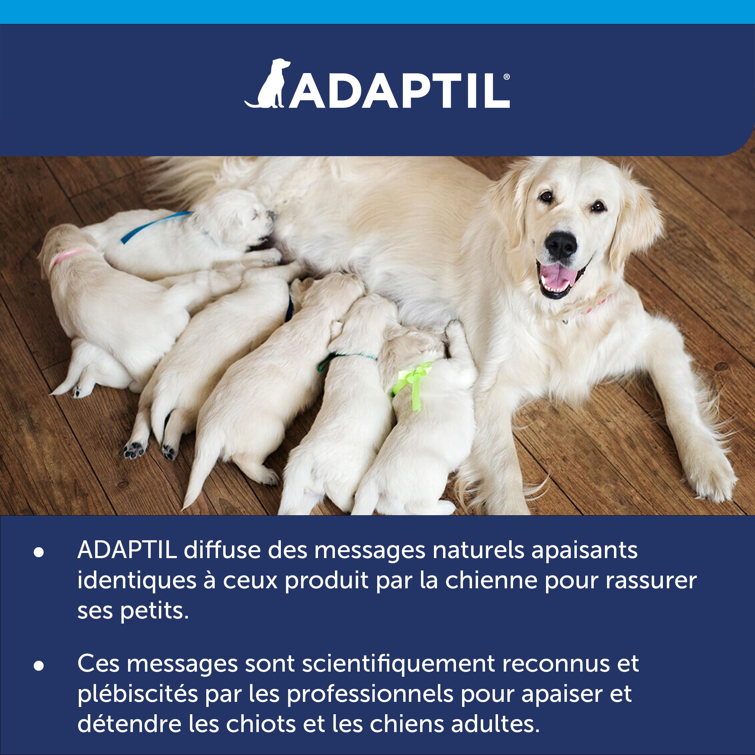 ADAPTIL Calm - Pack 3 recharges pour diffuseur Anti-Stress pour Chiens - Mode d'action Naturel - Agit Pendant 3x30 Jours - sans Somnolence - Fabriqué en France