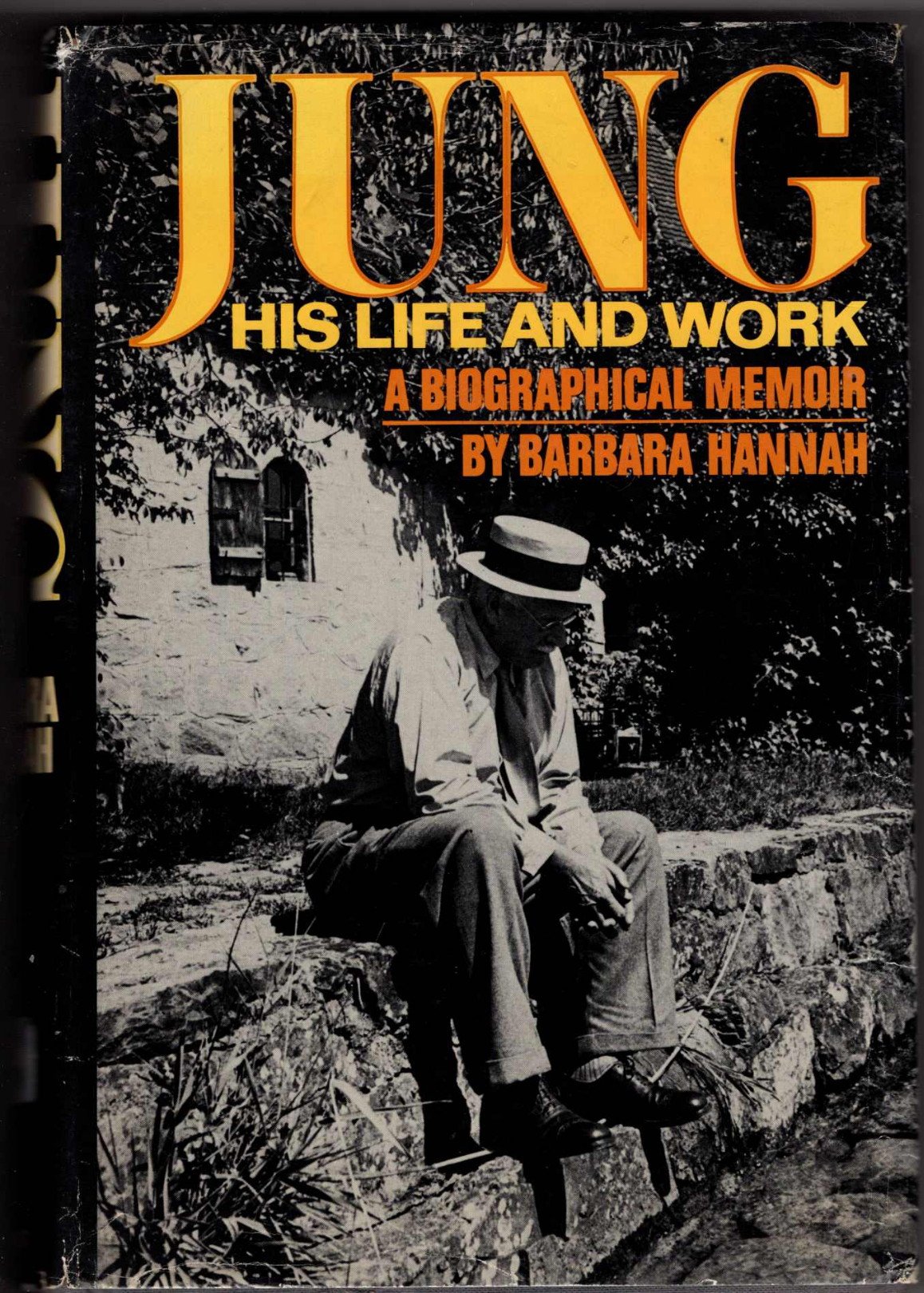 Buy Jung: Life and Work — BookShops.in