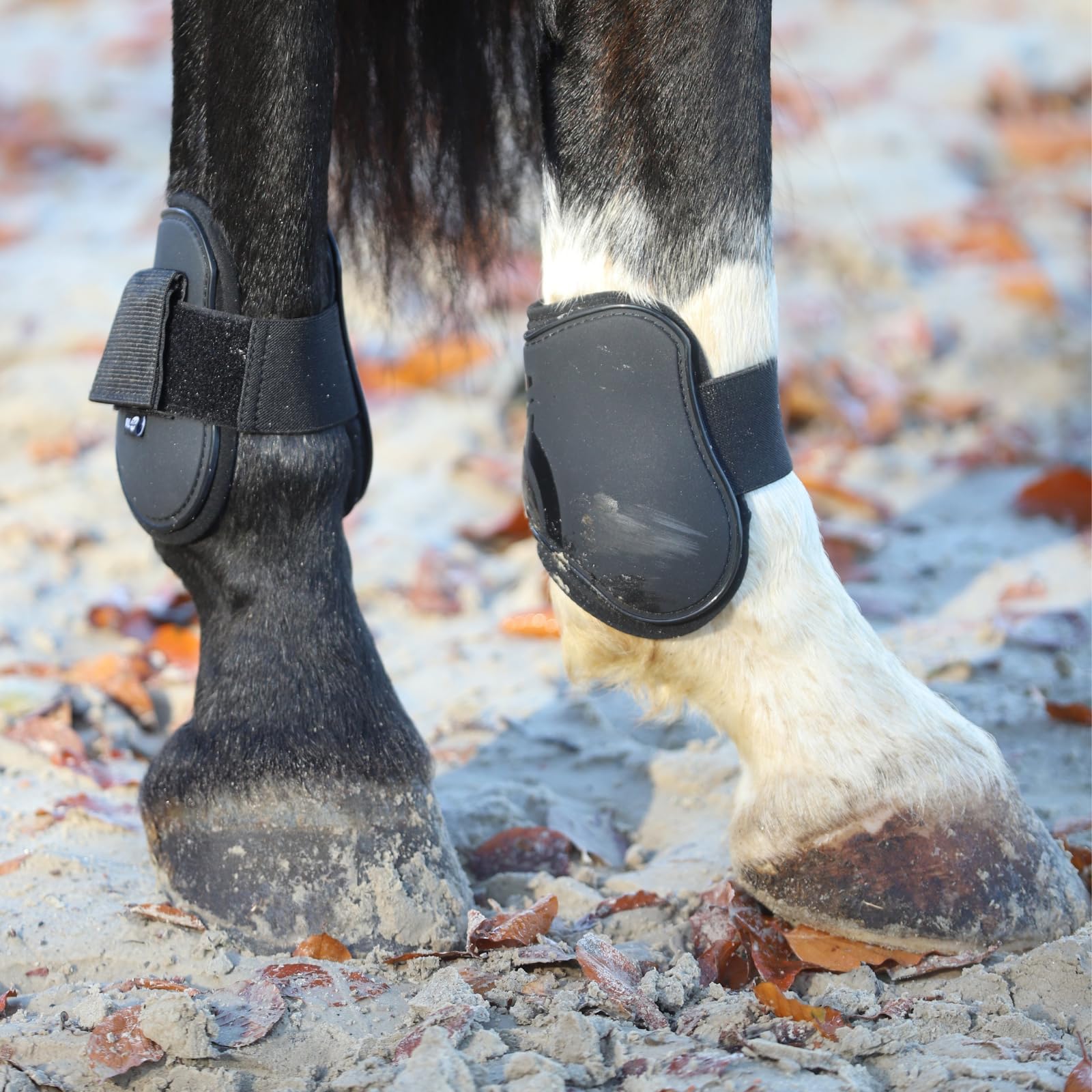 RL24 - Gamaschen & Streichkappen (4er Set) – Pferdebeinschutz mit Klettverschluss – gefüttert, anatomisch geformt & stoßabsorbierend – Pony & Pferde Zubehör – vielen Farben & Größen