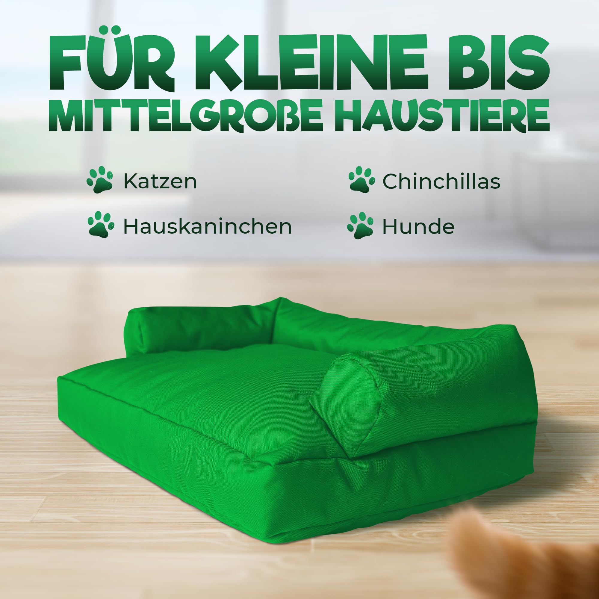 PatchHome Sofá para gatos, certificado Öko-Tex, muebles para gatos, relleno de poliestireno reciclado, accesorio para gatos, fabricado en Alemania, 50 x 40 x 15 cm, color verde