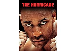The Hurricane: A Compact Guide to Staying Safe and Informed
