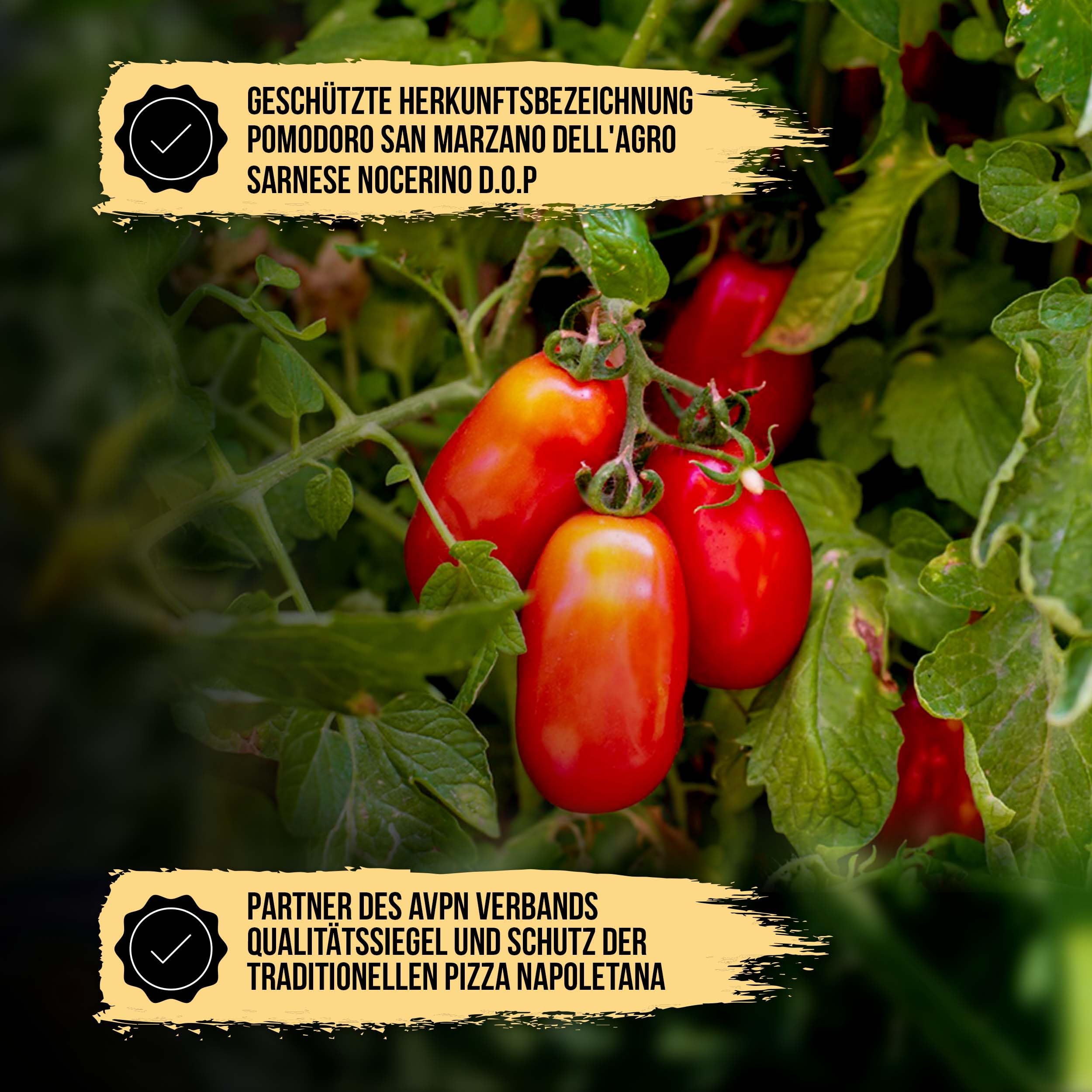 San Marzano Tomaten DOP 12x 400g Dose ganze geschälte Pizzatomaten