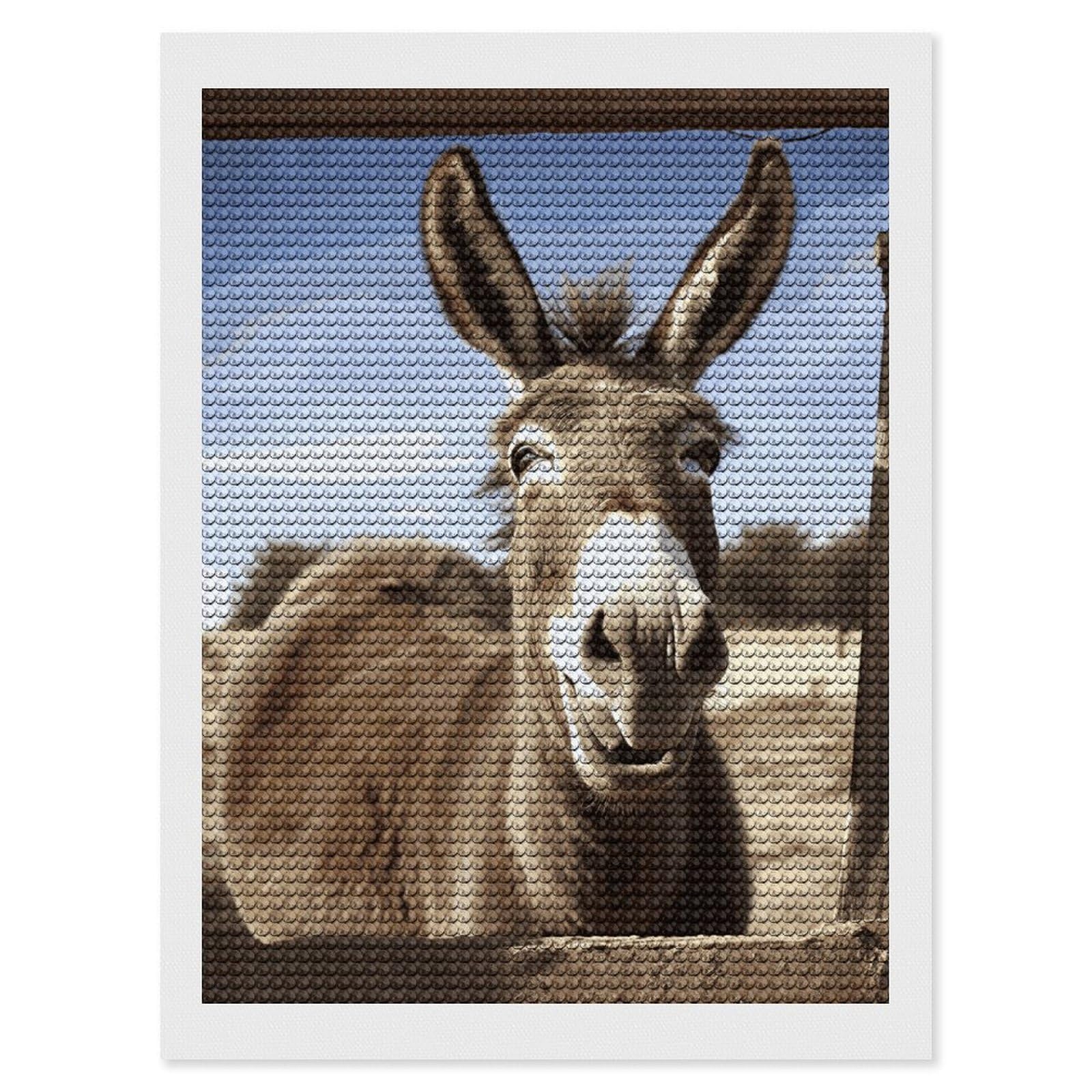 DWVTSLH Funny Donkey Diamond Painting Kits for Adults, Personalized Diamond Photo Art Full Drill, DIY 5D Diamond Art Painting Kits for Beginners, Home Wall Decor 12"x16"