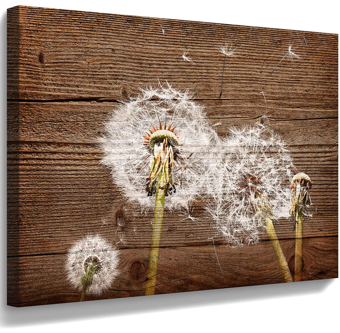 Canvas printing Art Vintage Picture Dandelion Wall Decal Simple Life Painting Rural Home Decoration Dandelion picture Nostalgic Brown Artwork 12x16 inches Frame Home Decor Bedroom Bathroom Wall art