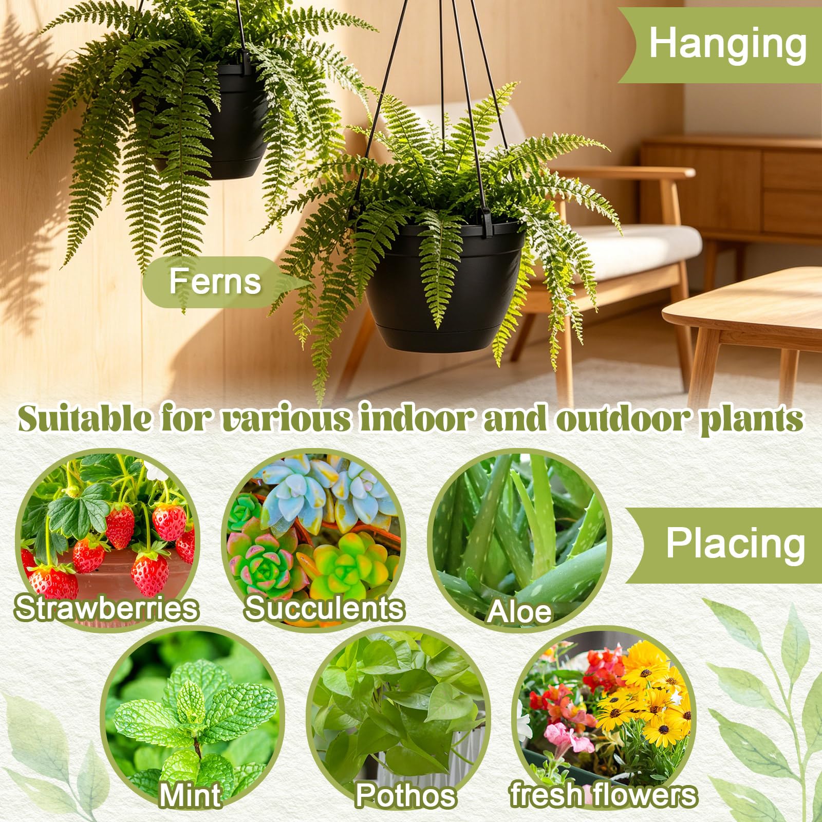 Roshtia Lot de 24 pots à suspendre en plastique de 16 cm pour plantes en vrac avec crochets - Plateau de drainage - Support de pot de fleurs pour intérieur et extérieur - Pour fleurs, jardin, balcon