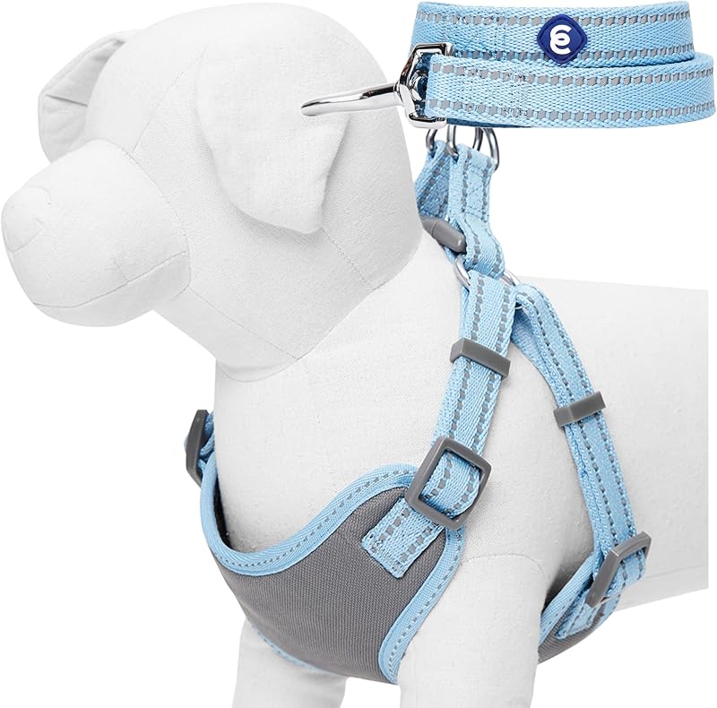 Juego de arnés y correa reflectantes a juego | Chaleco pastel ajustable con correa para perros – Juego de regalo de gran valor | Chaleco azul bebé ajustable para razas medianas