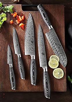 Amazon.com: XINZUO 5-Piece Kitchen Knife,Super Sharp Damascus