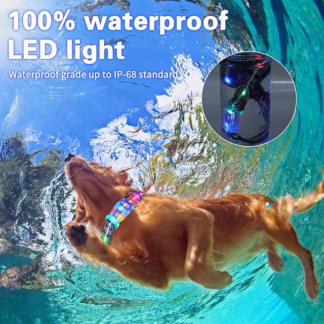 Foto 5 de 7 de YUSHANG Collares de Perro Iluminados,Collar de Perro con luz LED Recargable Impermeable,2 en 1 Tipo Luz…