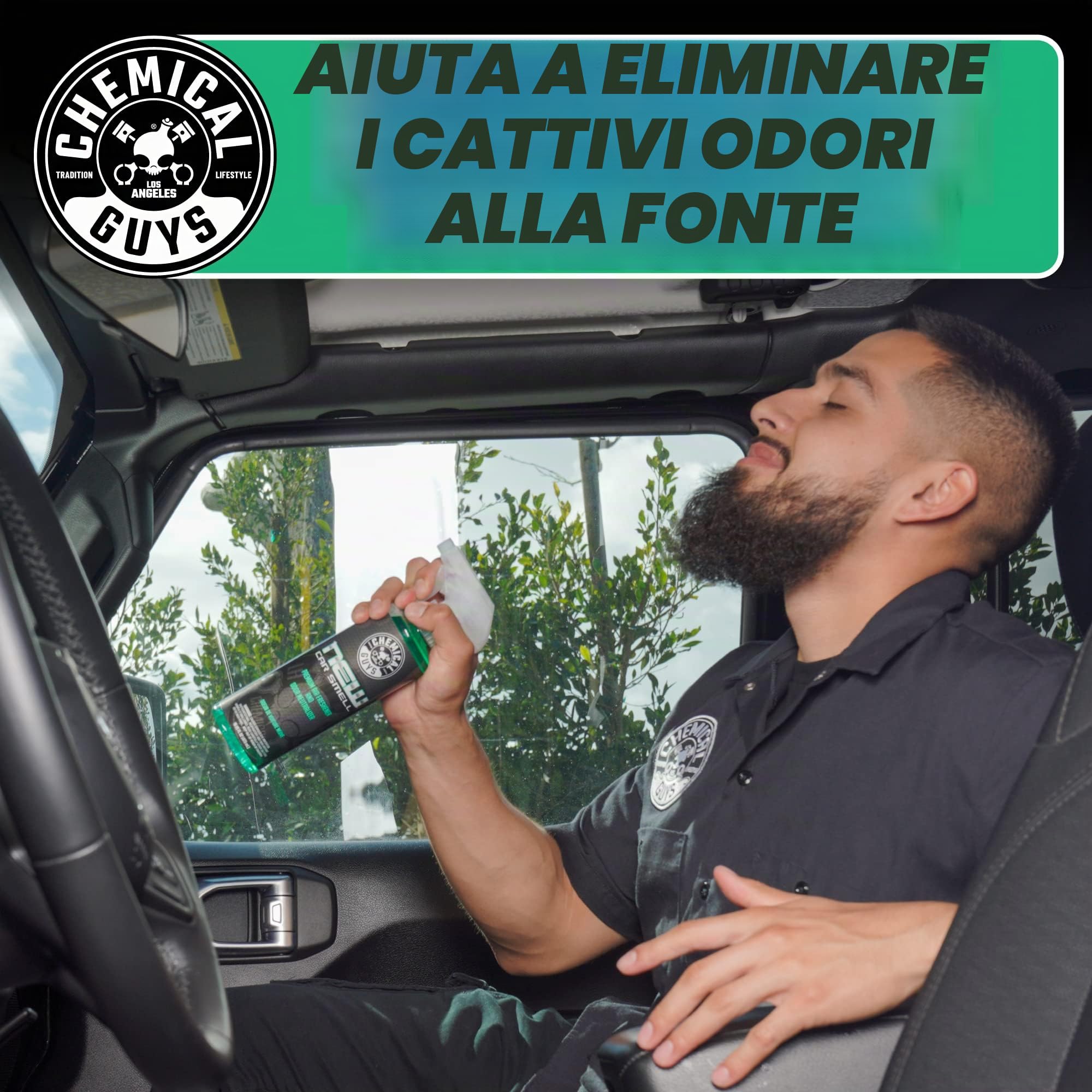 Chemical Guys (Air 101 16 Nuovo Deodorante per Auto, 473 ml