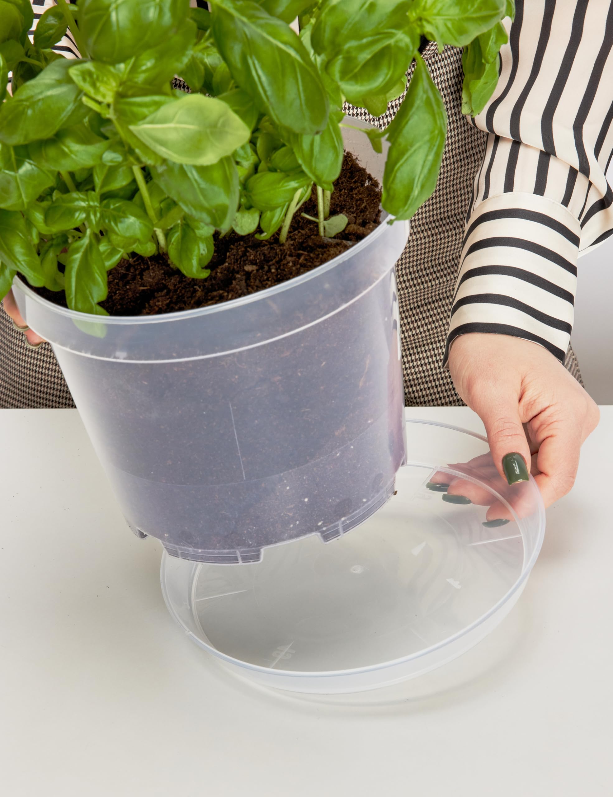 20 Stück Transparente Blumentopfuntersetzer - Pflanzenschalen 6 Zoll