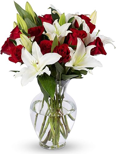 Benchmark Bouquets - Rosas rojas y lirios, jarrón incluido, flores frescas cortadas y cultivadas, regalo para decoración del hogar, cumpleaños,