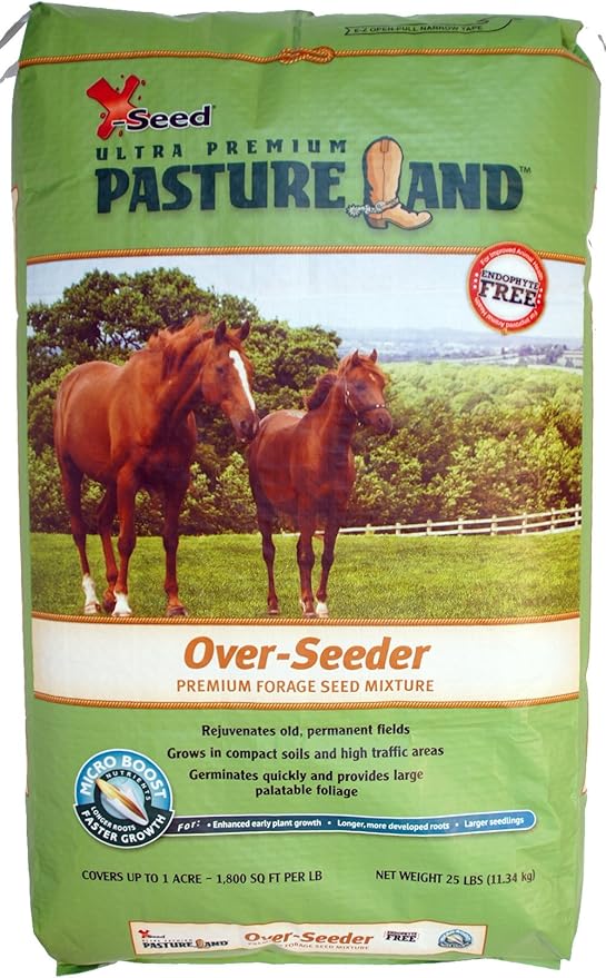 What Is The Best Horse Hay Seed Mixture? Best Horse Rider