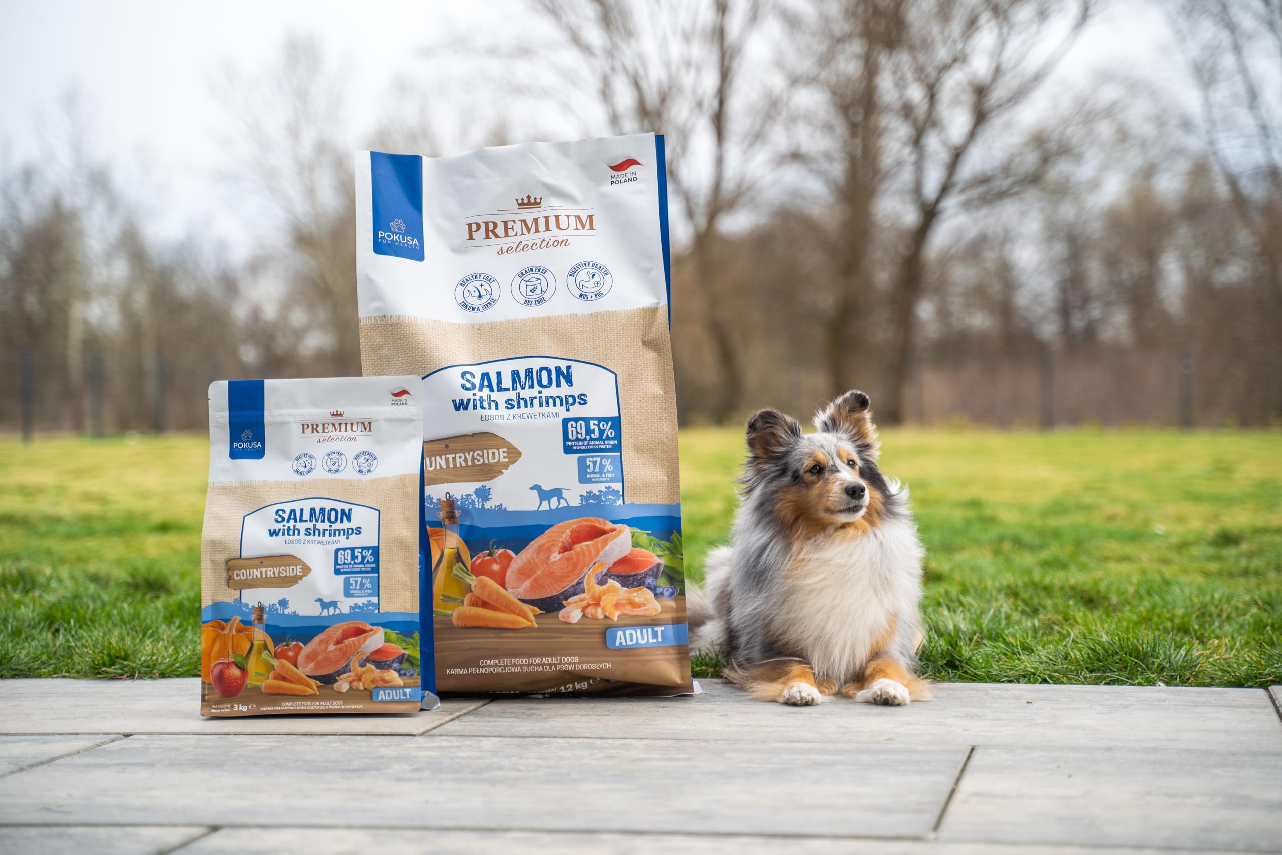 POKUSA Premium Selection | Sucha Karma dla Psa | Łosoś z Krewetkami | Bezzbożowa Karma Rybna dla Dorosłych Psów | Hipolergiczna, Bogata w Astaksantynę i Omega-3, Zdrowa Skóra (12 kg)