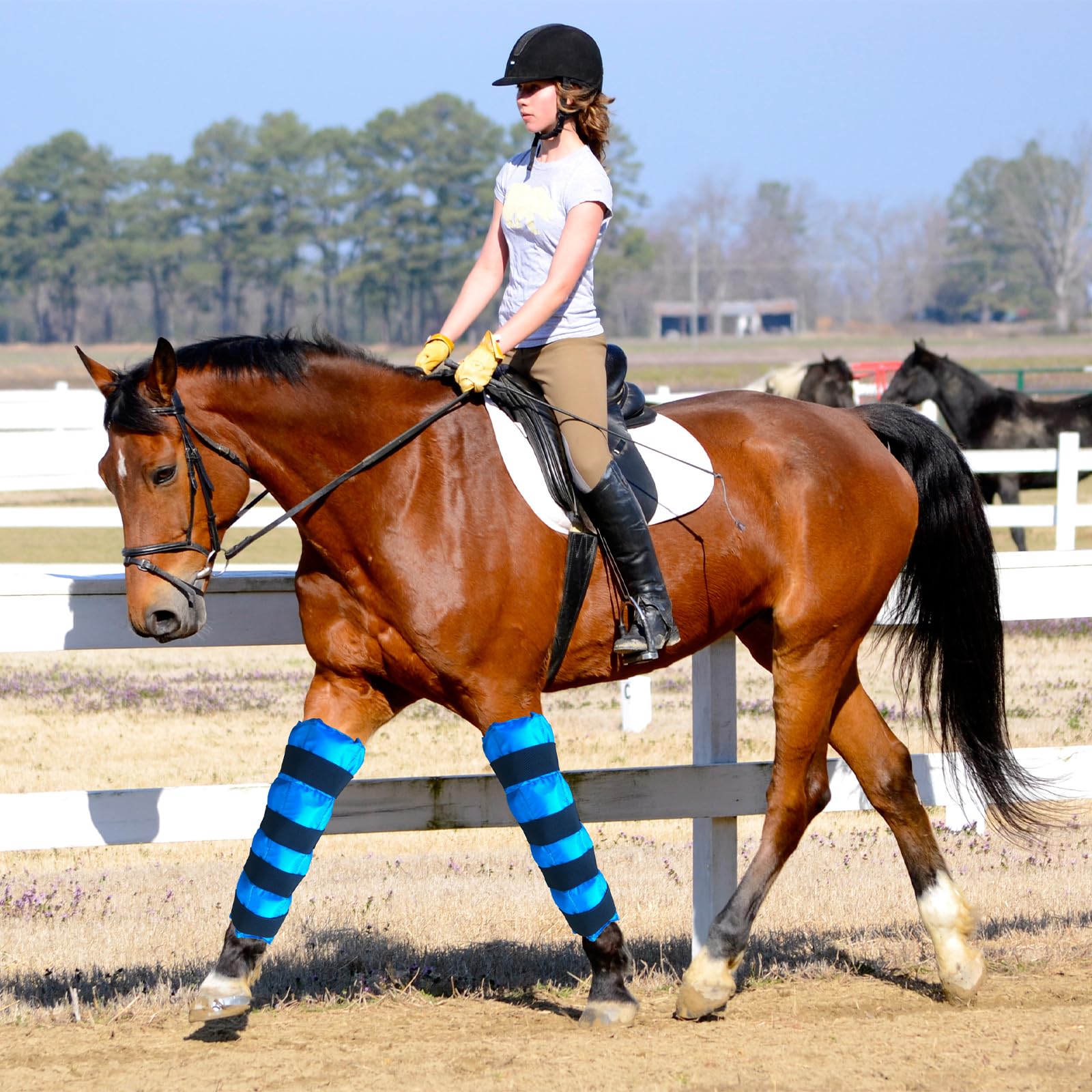 Horse Ice Boots - Reusable Gel Ice Pack for Horses | Cooling Leg Wraps for Hock, Knee, Ankle & Hooves | Horse Supplies & Care Gift Ideas - 1 Pair,: Blue